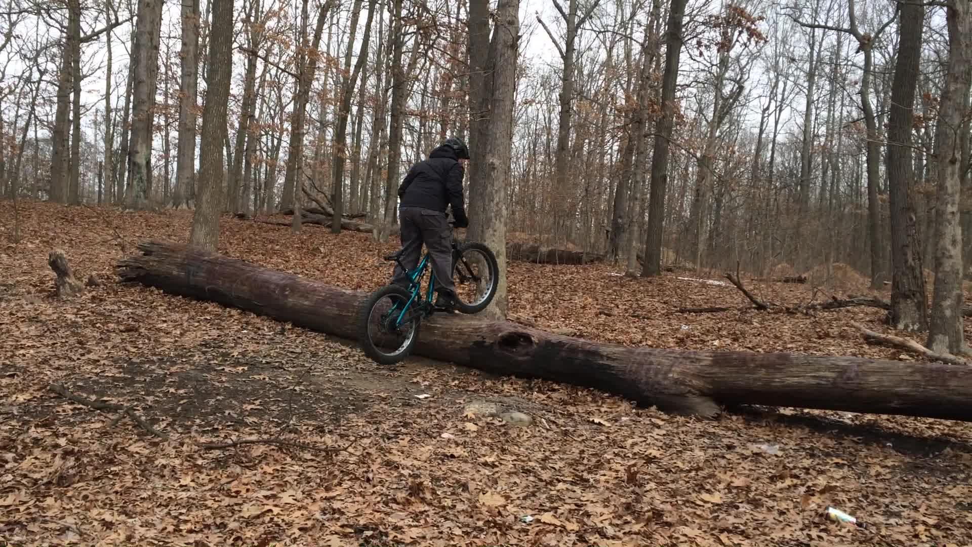 A person riding a mountain bike balances on a fallen tree trunk in a forest during autumn. The ground is covered with brown leaves and the trees are bare, indicating a cool season. Wolfes Pond park mountain bike trail.