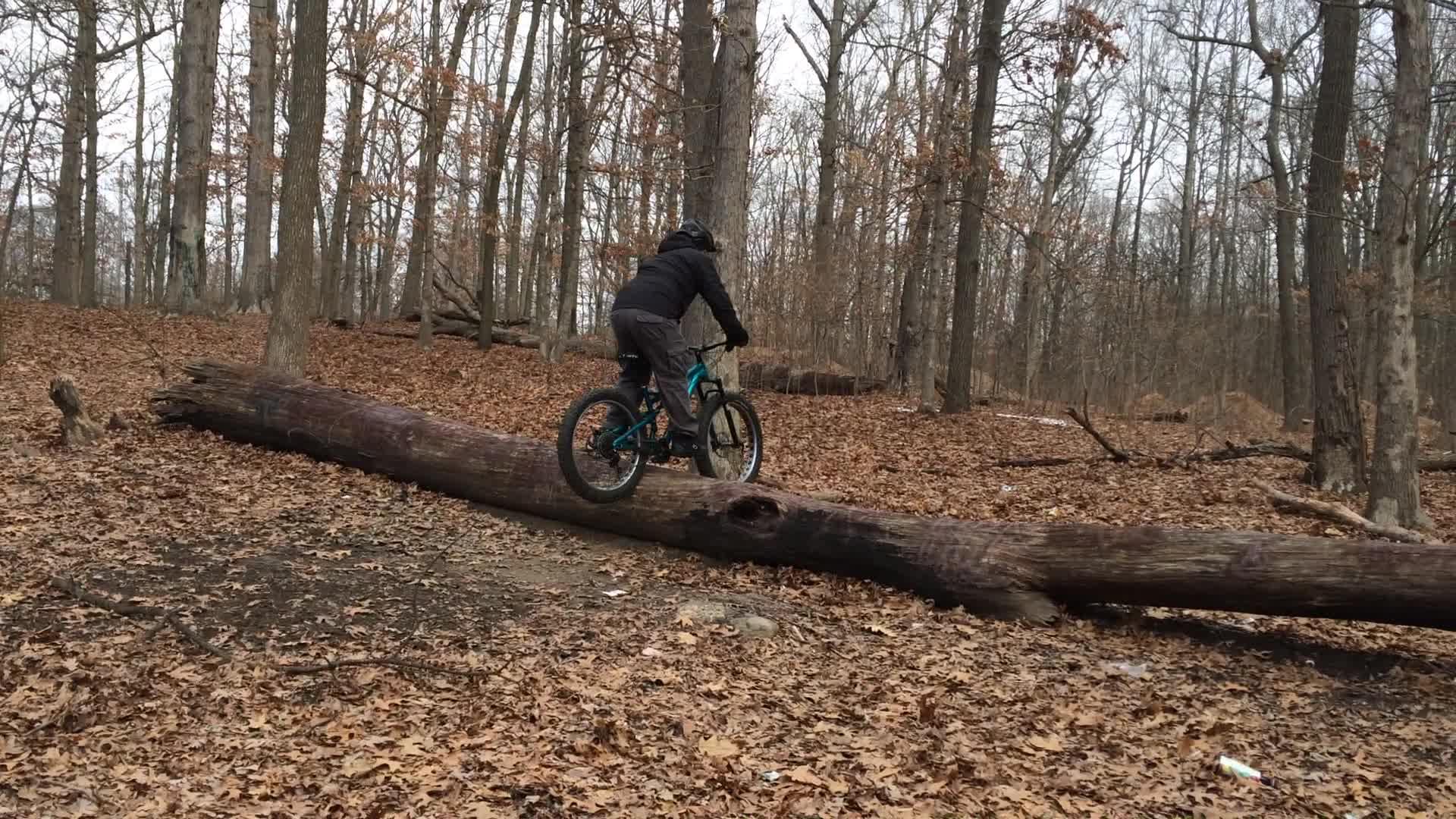 A person riding a mountain bike balances on a fallen tree trunk in a wooded area during autumn. The ground is covered with brown leaves, and the trees are bare, indicating the season is late fall or early winter. Wolfes Pond park mountain bike trail.