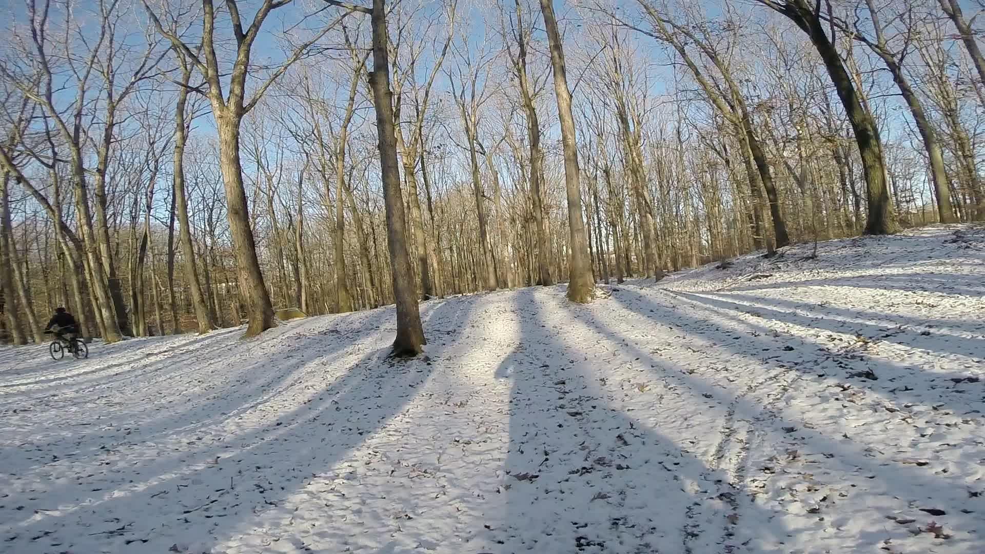 A cyclist riding through a snowy forest trail on a clear day, with bare trees casting long shadows on the ground covered in fresh snow. Trails seperated by streets mountain bike trail.