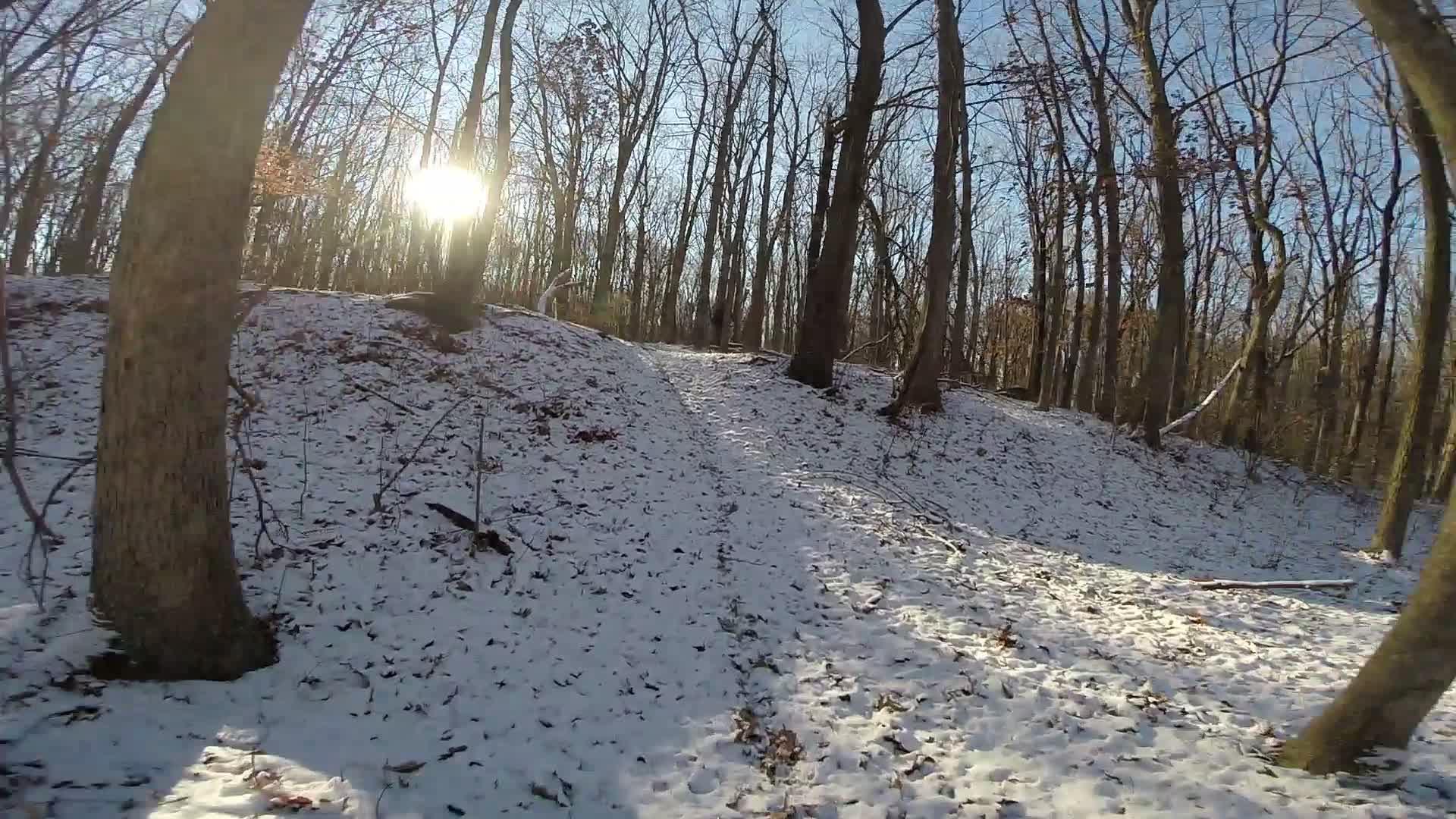 A sunlit forest path covered with a thin layer of snow, surrounded by bare trees on a clear winter day. The sunlight creates a warm glow through the trees, casting shadows on the snowy ground. Trails seperated by streets mountain bike trail.