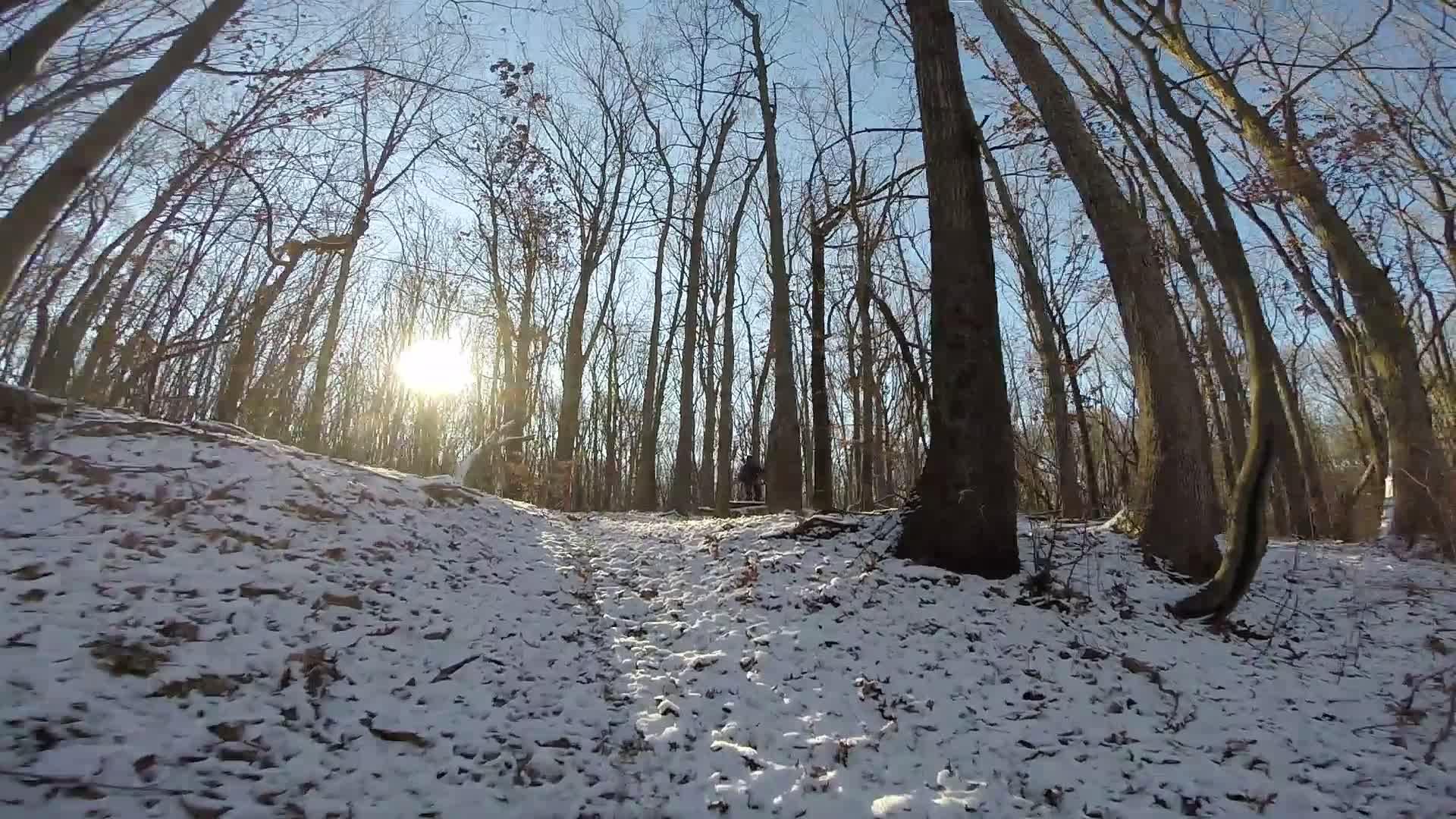 A snow-covered forest path surrounded by bare trees, with the sun shining through the branches on a clear day. Trails seperated by streets mountain bike trail.