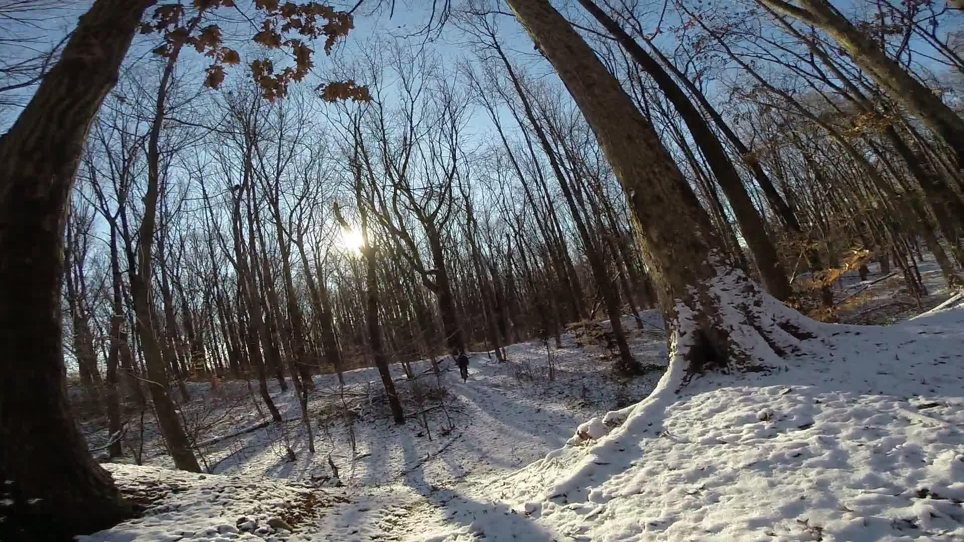 A serene winter scene in a forest, featuring bare trees with a light dusting of snow on the ground. The sun is visible low in the sky, casting long shadows across a winding path through the woods. The clear blue sky contrasts with the earthy tones of the landscape. Trails seperated by streets mountain bike trail.