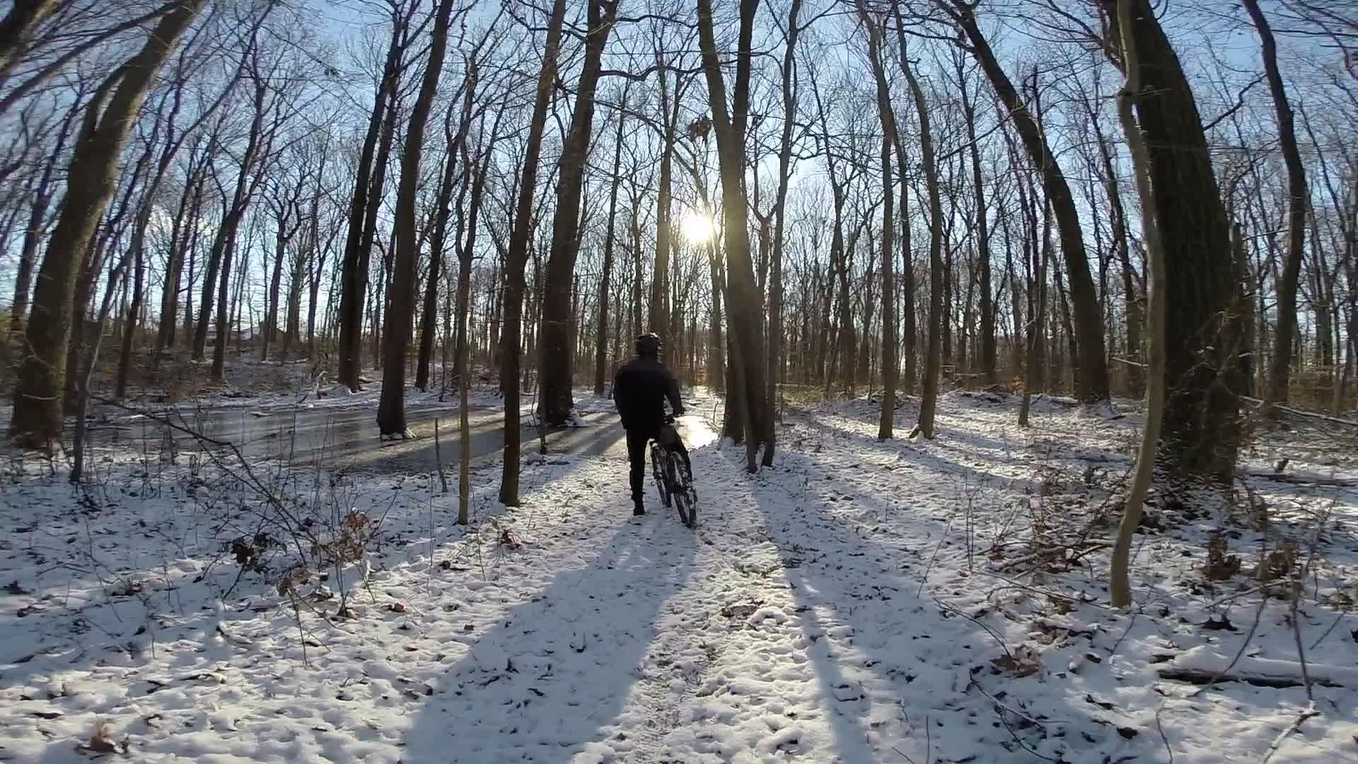 A person riding a bicycle on a snow-covered path through a wooded area, with tall trees and sunlight filtering through the branches. Shadows are cast on the snow, creating a serene winter scene. Trails seperated by streets mountain bike trail.