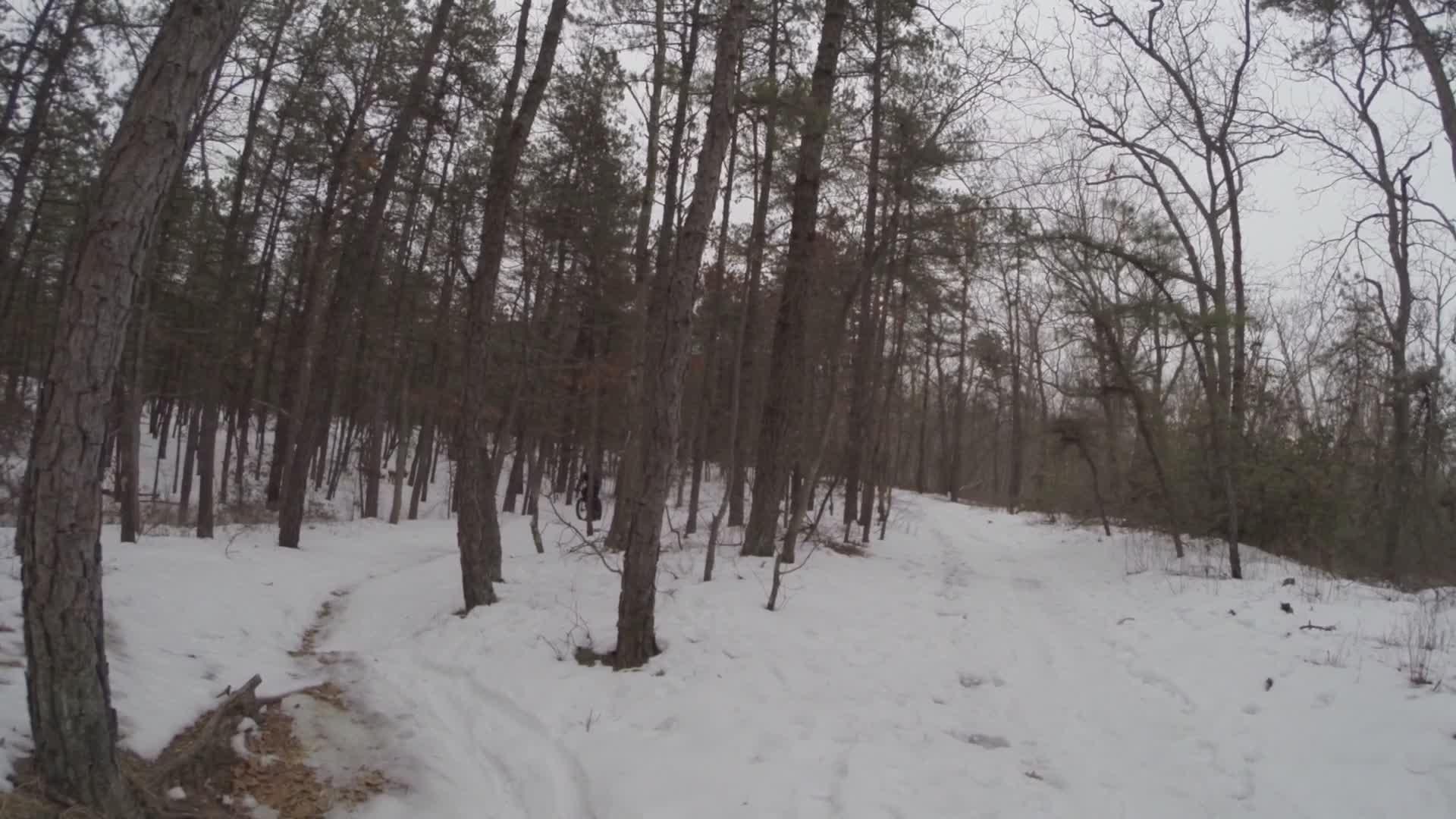 A snowy path winding through a forest of tall pine trees, with a mix of snow-covered ground and bare patches. The sky is overcast, creating a serene, wintry atmosphere. Allaire State Park mountain bike trail.