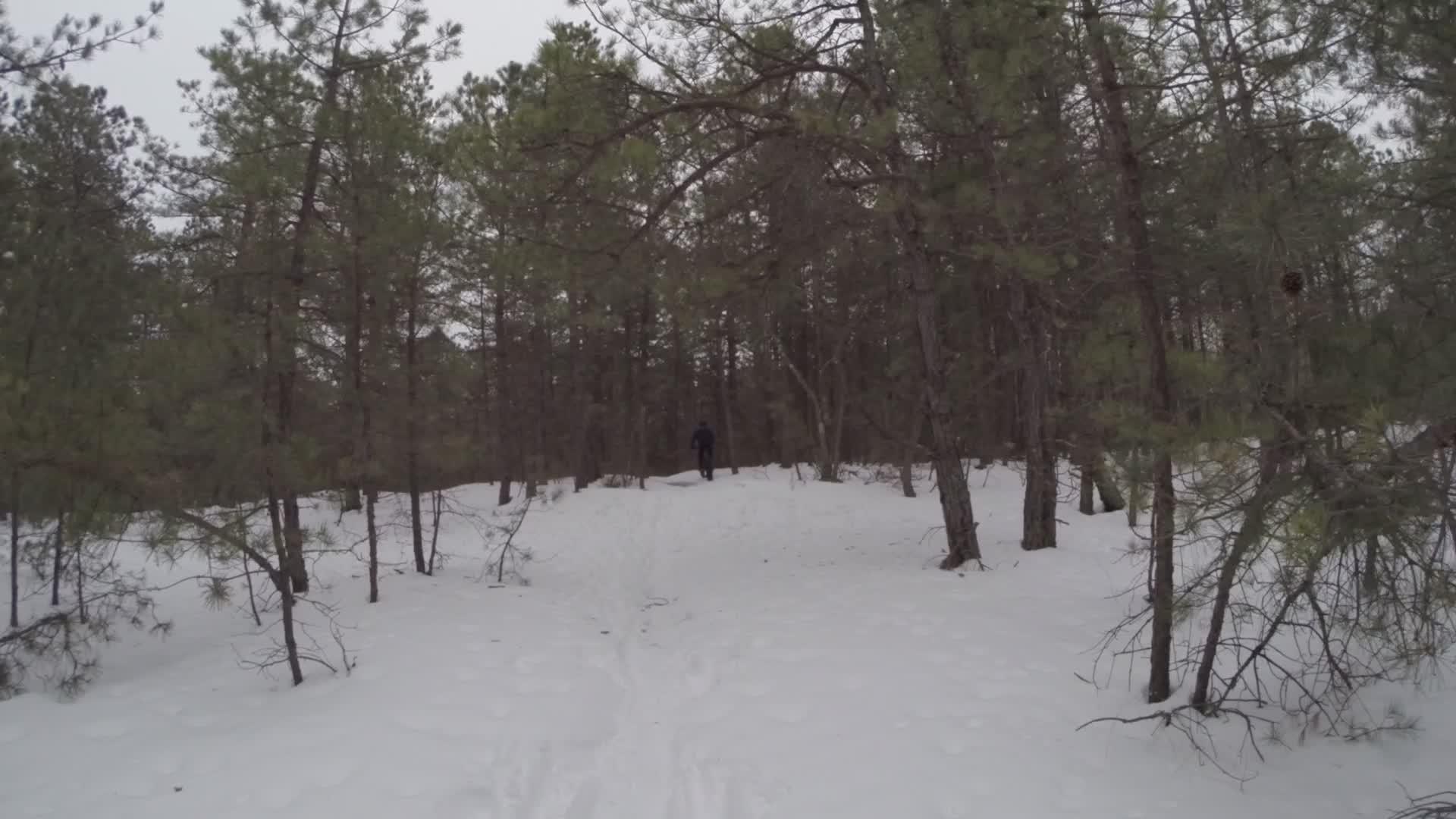 A snowy forest scene with tall evergreen trees. A person in dark clothing walks along a snow-covered path, surrounded by the tranquil, wintry landscape. The sky is overcast, adding a serene atmosphere to the setting. Allaire State Park mountain bike trail.