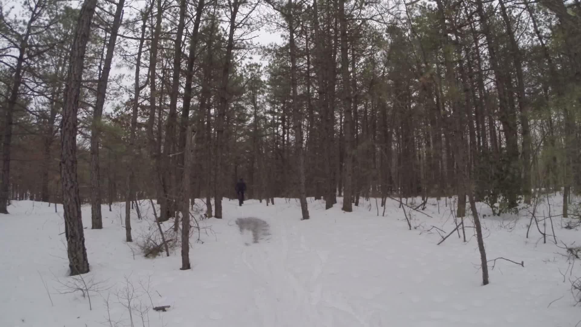 A snow-covered forest path winding through tall trees, with a person walking in the distance, surrounded by a serene winter landscape. Allaire State Park mountain bike trail.
