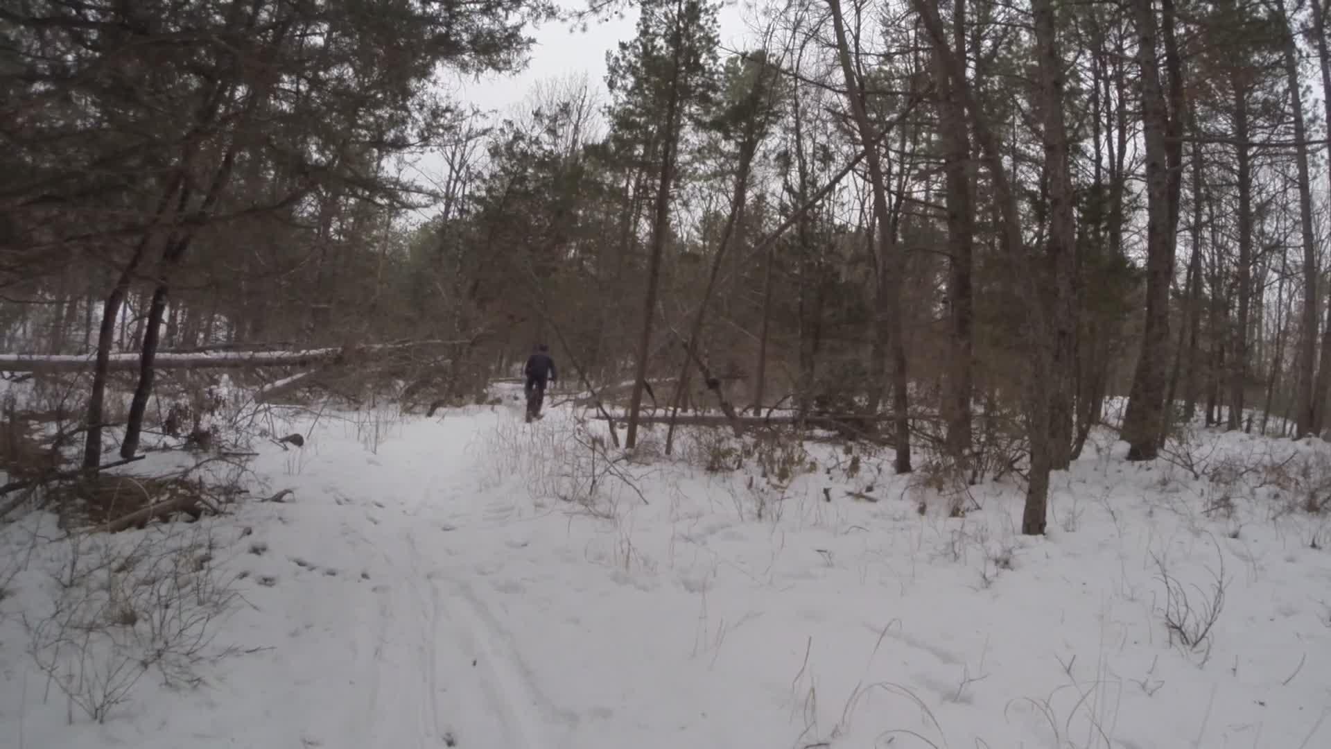A person walking along a snow-covered path in a forest, surrounded by trees and sparse vegetation. The scene is overcast, with a wintry atmosphere highlighting the quiet beauty of the natural landscape. Allaire State Park mountain bike trail.