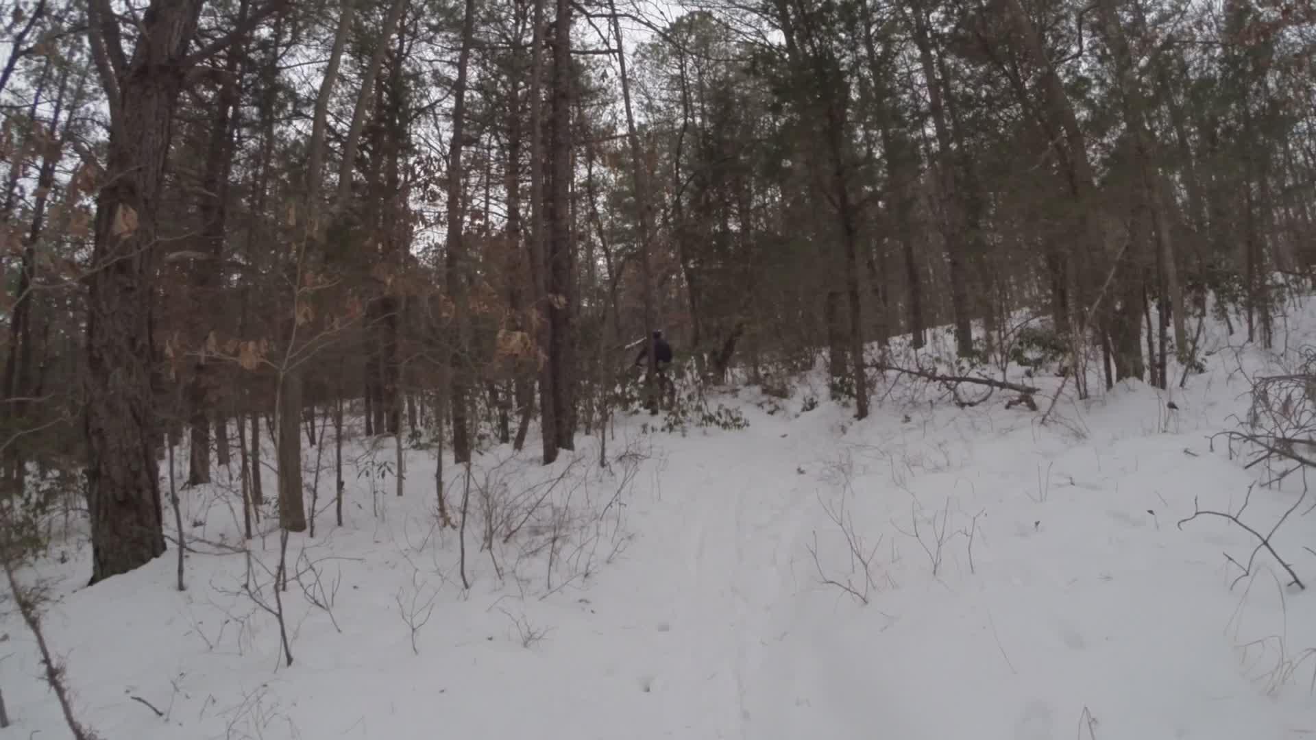 A snowy path through a forest, lined with tall trees. A figure can be seen in the distance, walking through the snow-covered ground. Sparse branches and fallen leaves are scattered along the trail. The scene captures a serene winter landscape. Allaire State Park mountain bike trail.
