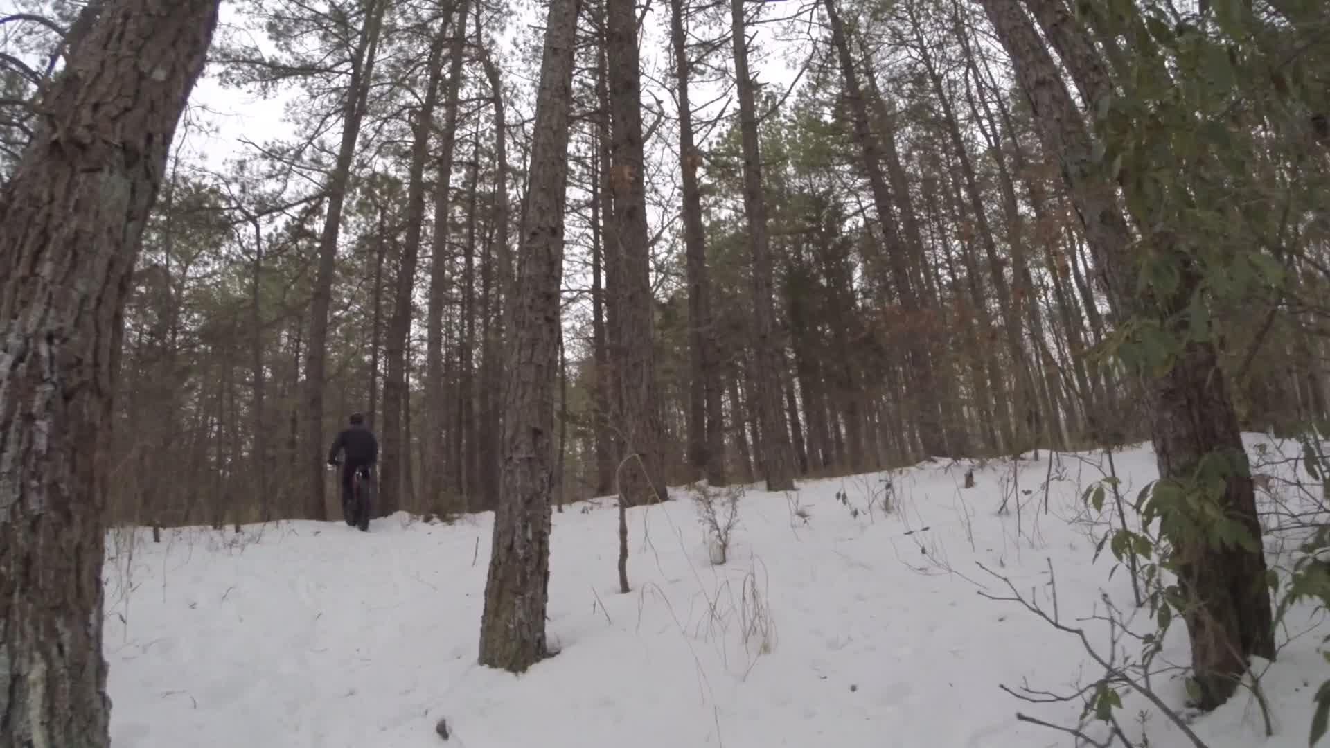 A person riding a bicycle through a snowy forest, surrounded by tall trees. Snow blankets the ground, and the scene captures a serene winter atmosphere. Allaire State Park mountain bike trail.