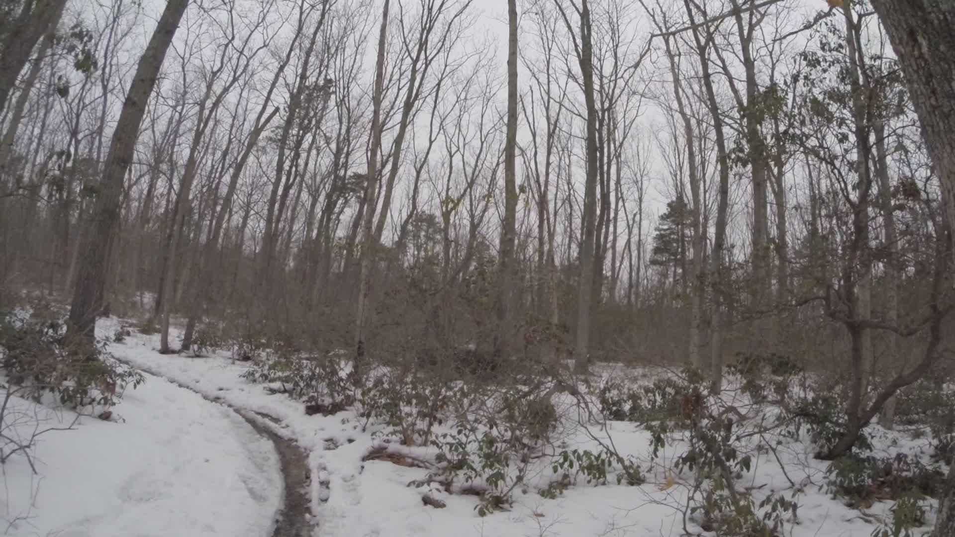 A winter scene in a forest with bare trees and a winding snow-covered path leading through the woods. The ground is partially covered in snow, and some greenery is visible along the edges of the trail. The cloudy sky creates a muted, serene atmosphere. Allaire State Park mountain bike trail.
