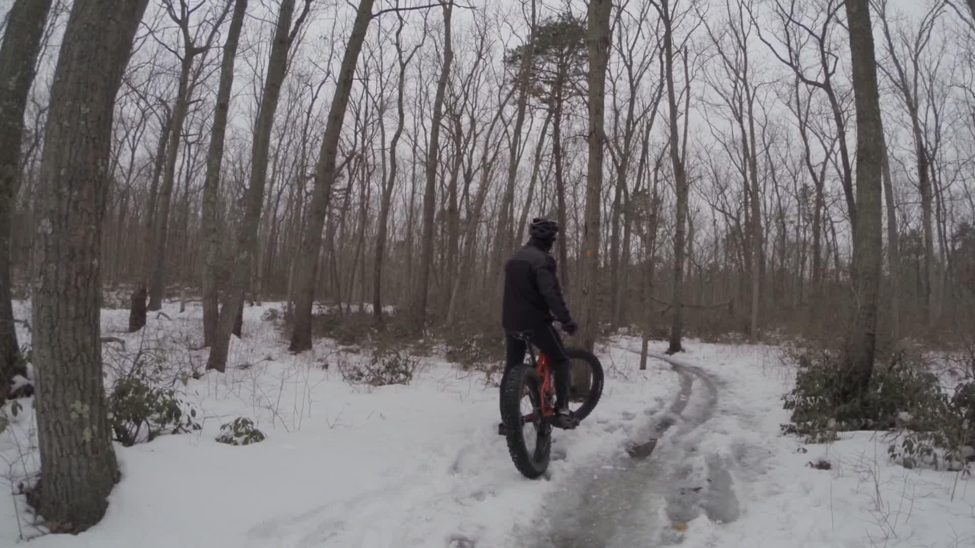 A cyclist navigating a snowy forest trail on a fat bike, surrounded by bare trees and a cloudy sky. The scene captures the serene winter landscape with snow covering the ground and a winding path ahead. Allaire State Park mountain bike trail.