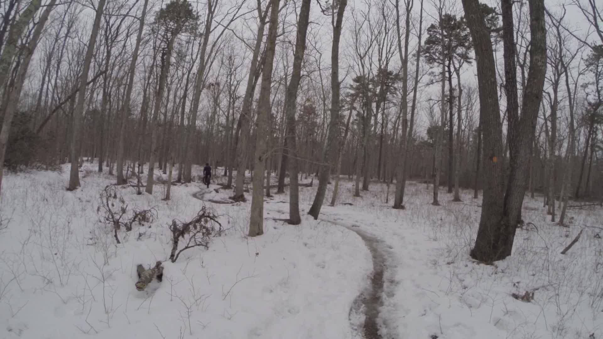 A snowy trail winding through a forest with bare trees. A person on a bike can be seen in the distance, navigating the path. The ground is covered in snow, with patches of exposed earth and scattered branches. The atmosphere appears quiet and serene under a gray sky. Allaire State Park mountain bike trail.