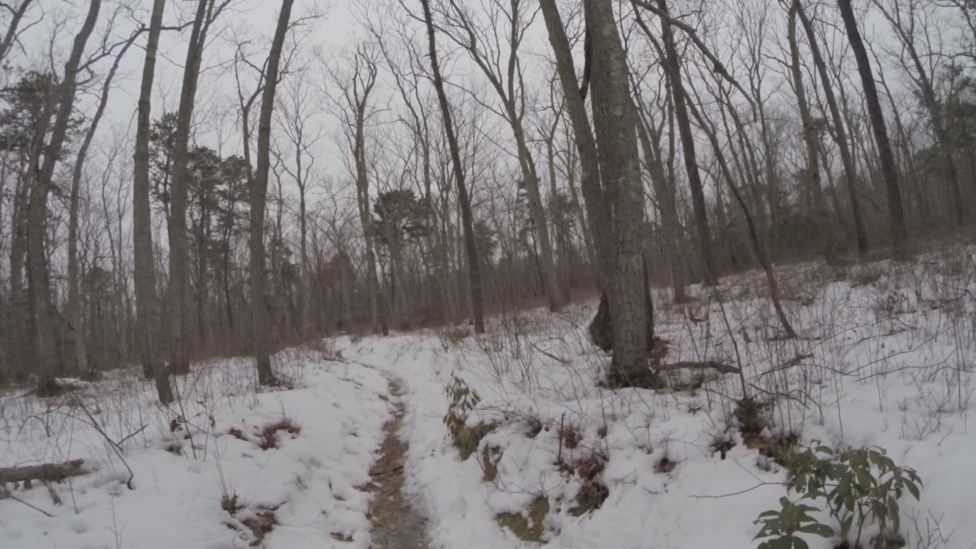 A snow-covered trail winding through a barren forest with tall, leafless trees, creating a serene winter atmosphere. The path is lined with patches of snow and sparse vegetation, under a gray sky. Allaire State Park mountain bike trail.