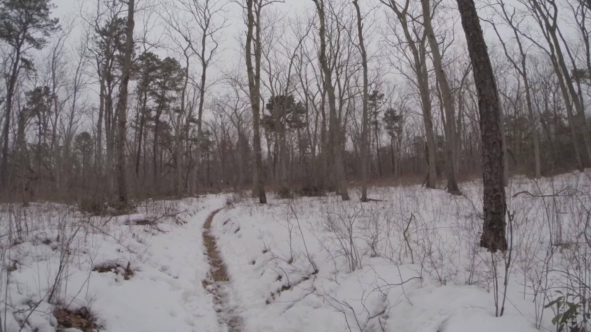 A winding dirt path surrounded by snow-covered ground in a wooded area, featuring tall, leafless trees and a cloudy sky. The scene evokes a serene winter atmosphere. Allaire State Park mountain bike trail.