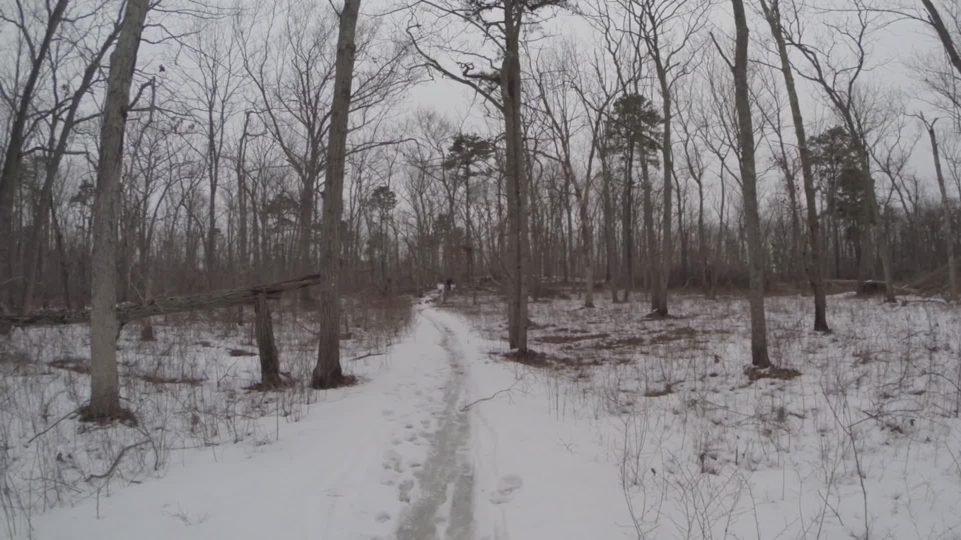 Winter scene featuring a snow-covered path winding through a forest. The trees are bare, highlighting the starkness of the landscape. Footprints are visible in the snow, suggesting recent activity. The overall atmosphere is calm and serene, with a muted color palette typical of a winter day. Allaire State Park mountain bike trail.