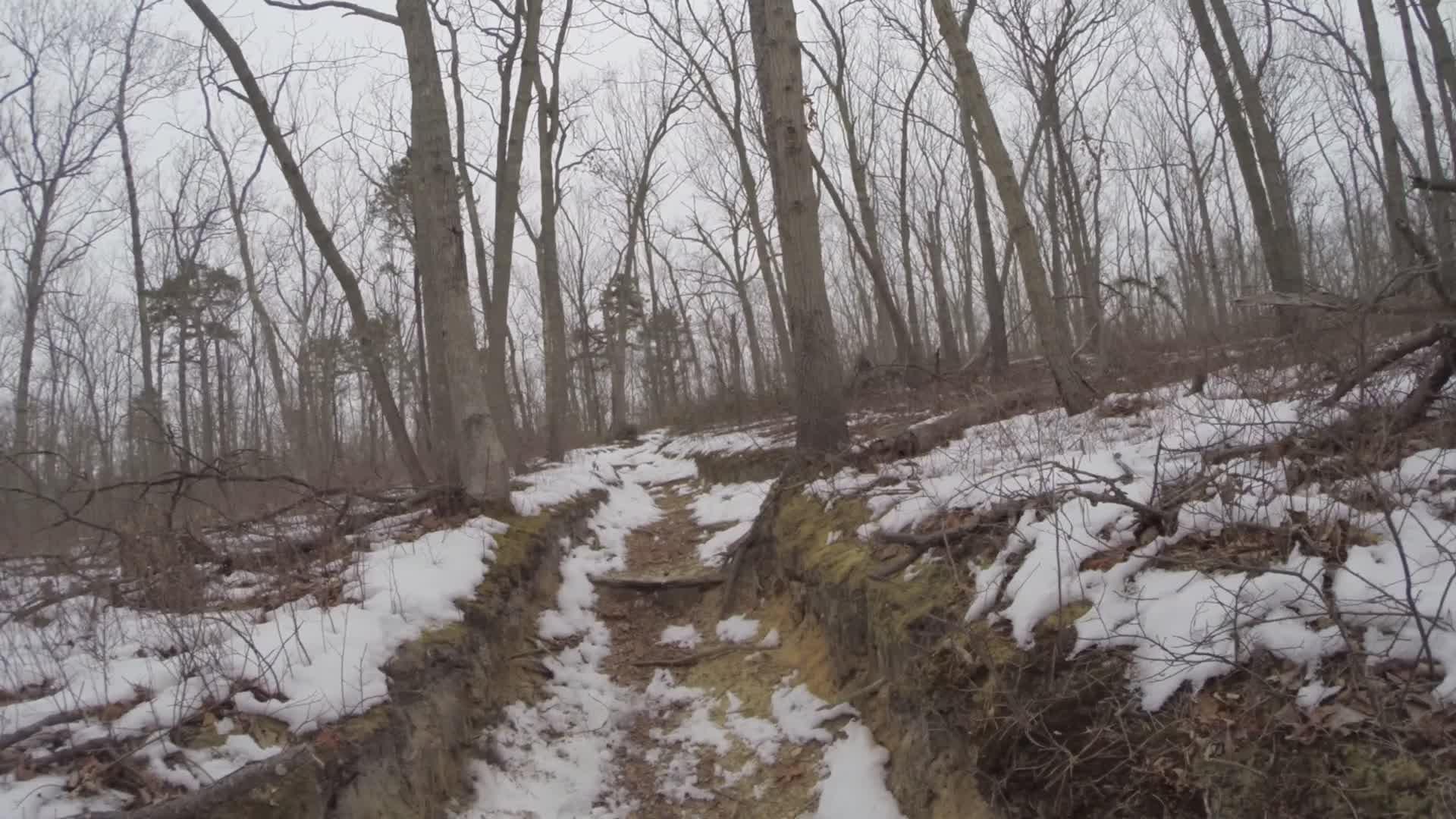 A snow-covered trail winding through a forest with bare trees in winter. The path is slightly raised and flanked by patches of snow and leaf litter. The sky is overcast, giving the scene a muted, serene atmosphere. Allaire State Park mountain bike trail.