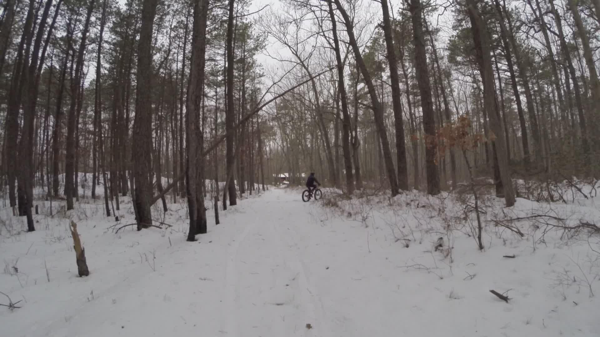 A person riding a mountain bike on a snowy trail surrounded by tall trees in a winter forest. The ground is covered with a layer of snow, and the scene has a tranquil, overcast atmosphere. Allaire State Park mountain bike trail.