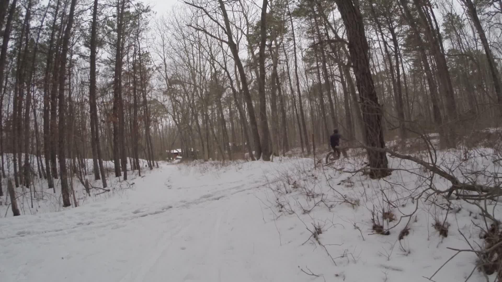 A snowy trail meanders through a forest, lined with tall trees. A person is seen cycling along the path, surrounded by a winter landscape with patches of snow and sparse underbrush. In the background, a small red structure is partially visible among the trees. The scene conveys a quiet, serene winter environment. Allaire State Park mountain bike trail.