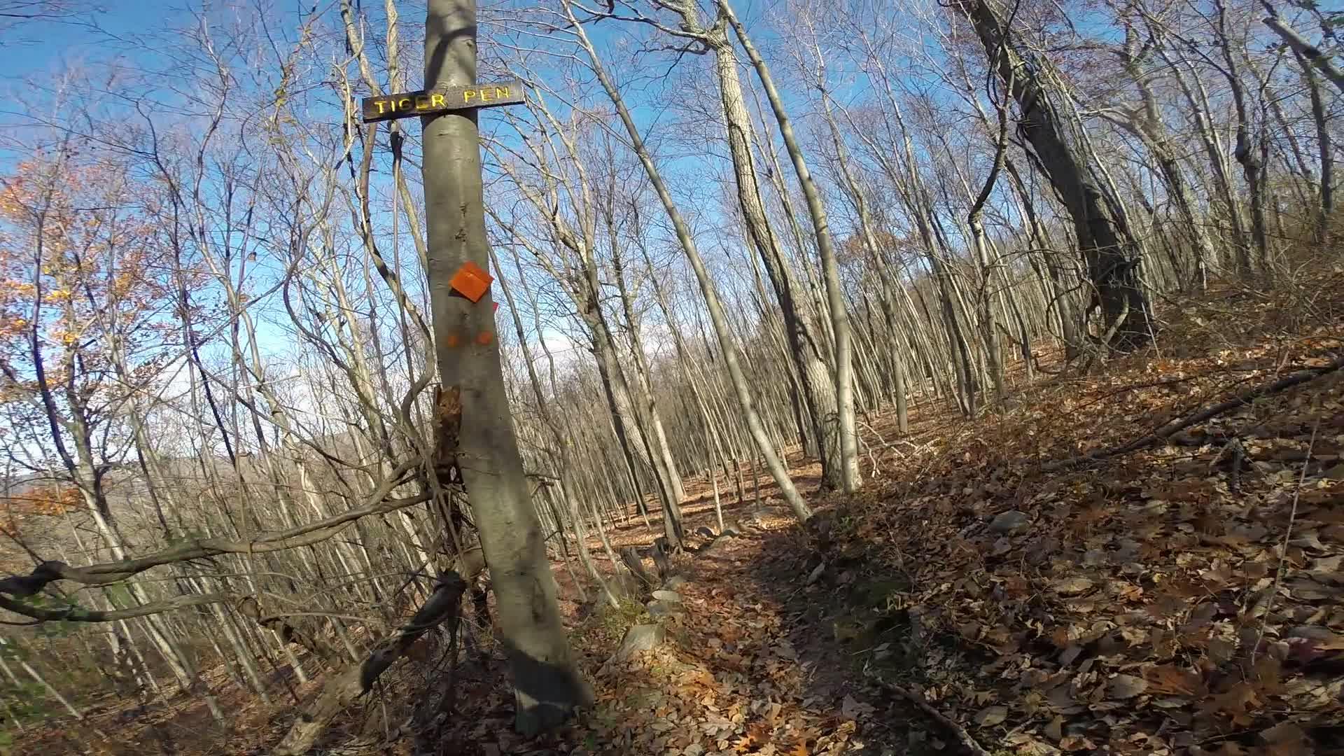 A forest trail in autumn, featuring a wooden sign labeled "Tiger Pen" attached to a tree. The surroundings include bare trees and a path covered with fallen leaves, under a clear blue sky. Long Pond Ironworks State Park mountain bike trail.