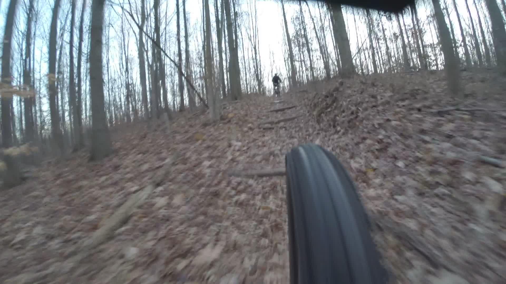A close-up view of a mountain bike tire rolling along a forest trail covered with fallen leaves, with a blurred figure of a person cycling uphill in the background, surrounded by bare trees in a wooded area. Wolfes Pond park mountain bike trail.