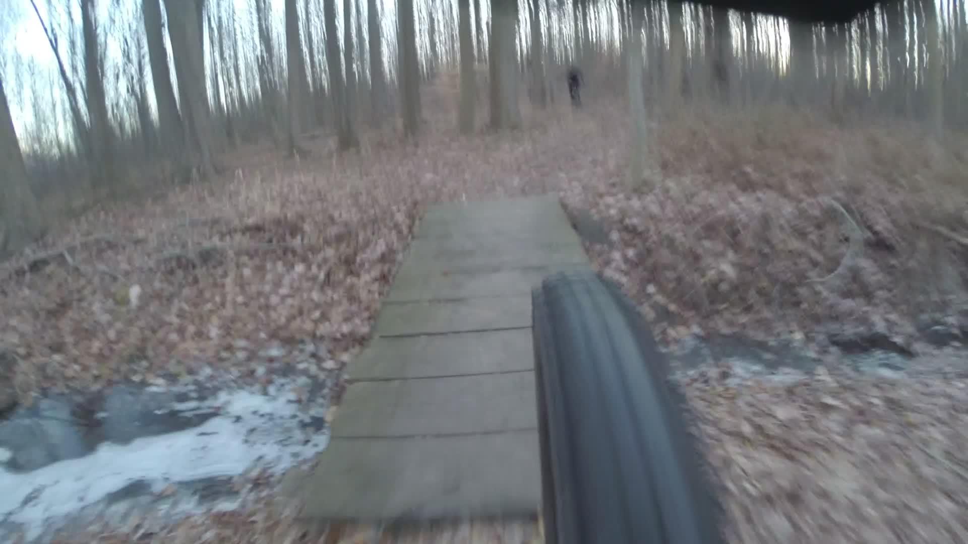 A view from the perspective of a cyclist approaching a wooden bridge on a forest trail, with autumn leaves scattered on the ground and trees lining the path. Wolfes Pond park mountain bike trail.
