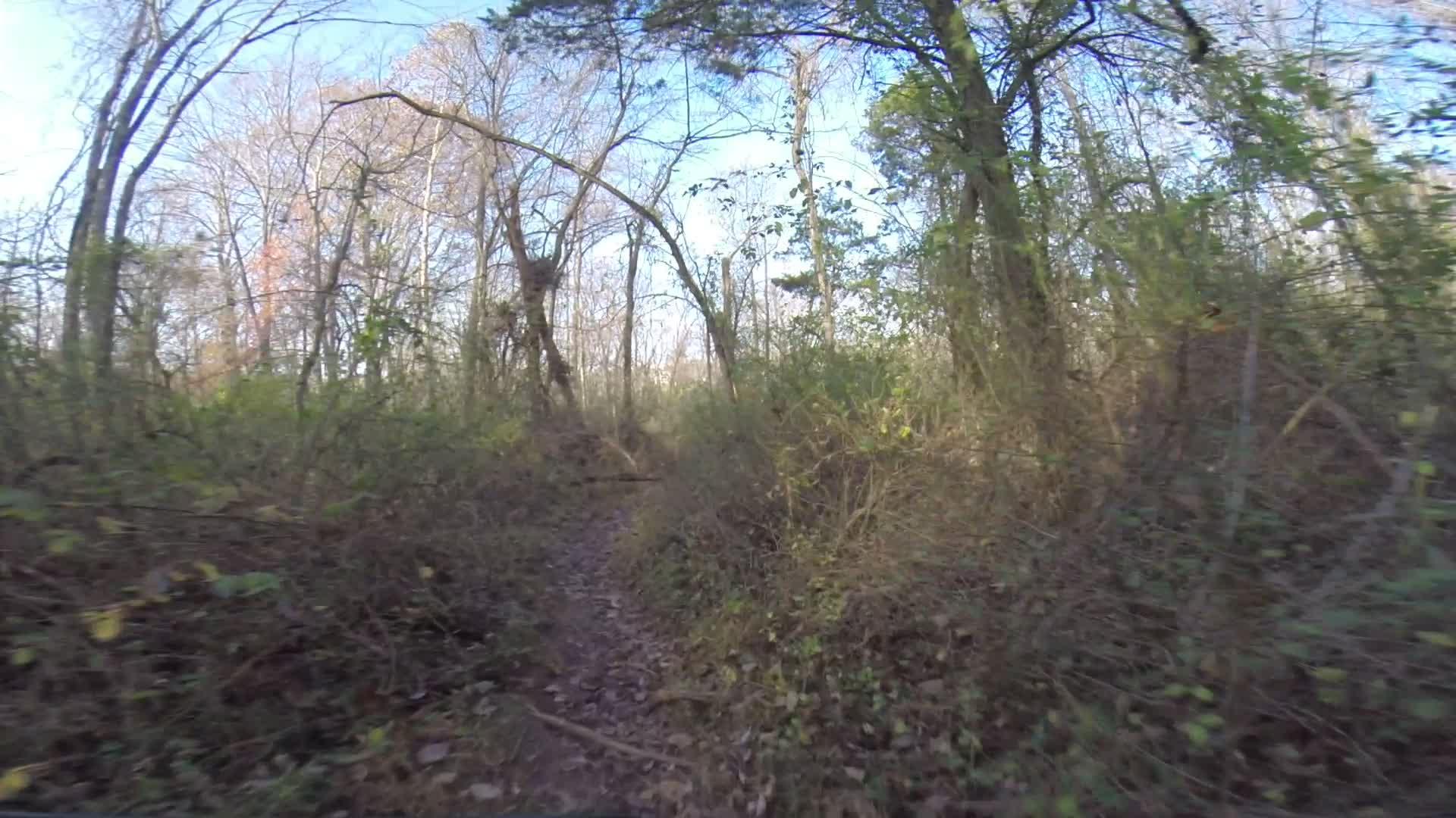 A narrow trail winding through a wooded area with sparse trees and underbrush, set against a clear blue sky. The scene captures a serene, natural landscape with signs of autumn in the foliage. Chimney Rock mountain bike trail.