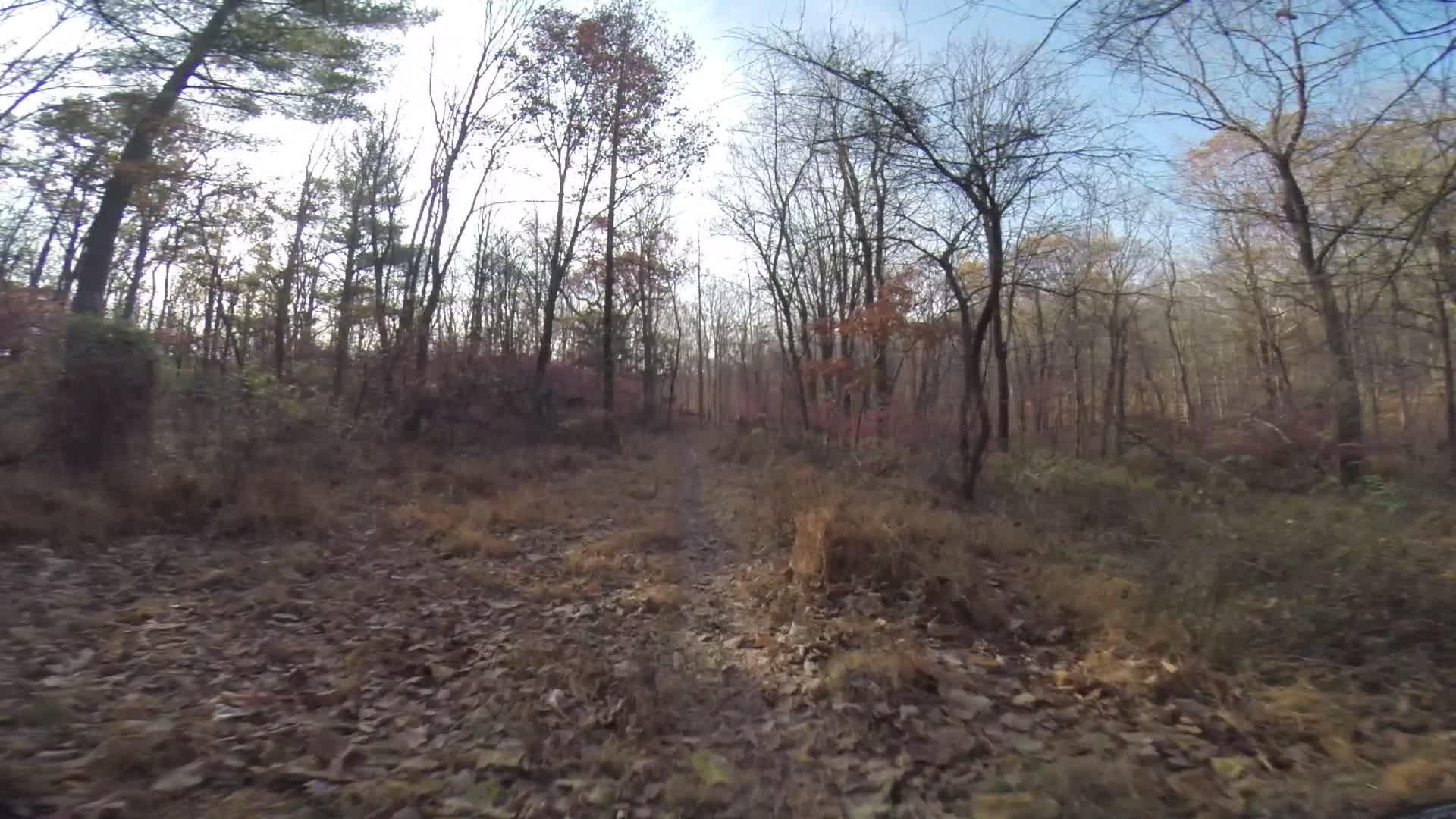 A narrow dirt path winds through a tranquil forest, flanked by bare trees and patches of dry grass. The ground is covered in fallen leaves, and the scene is illuminated by soft, natural light filtering through the trees, creating a peaceful autumn atmosphere. Chimney Rock mountain bike trail.