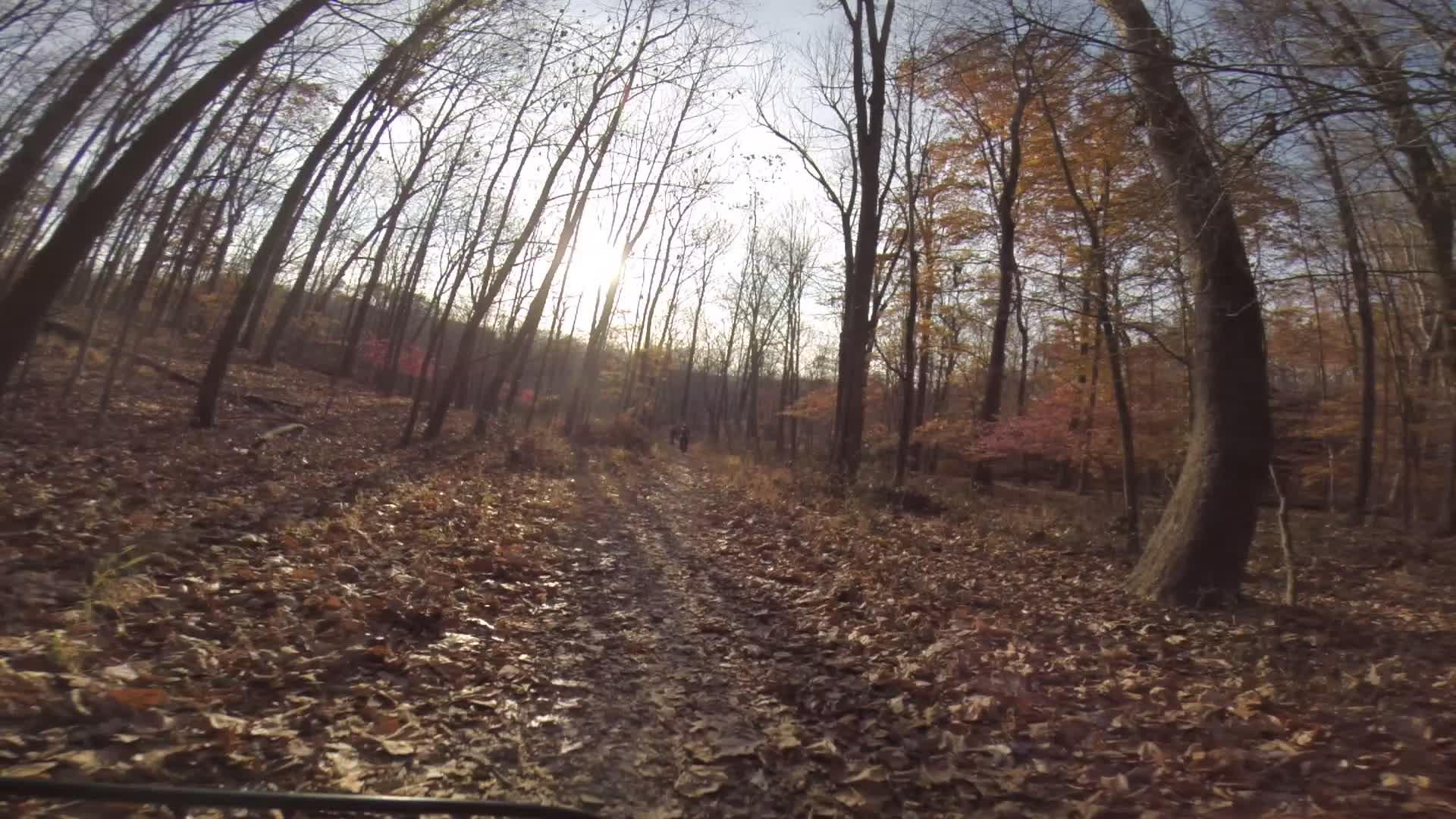 A forest path covered in fallen leaves, flanked by bare trees with some autumn foliage. The sun is low in the sky, casting warm light through the branches, creating a peaceful, serene atmosphere. Chimney Rock mountain bike trail.
