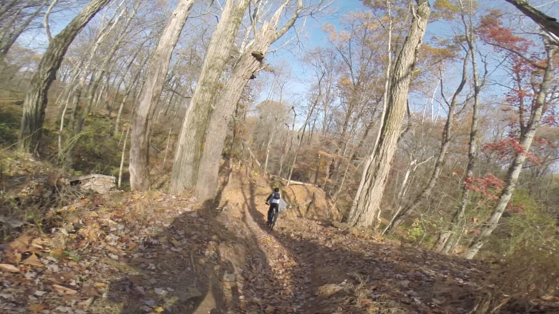 A mountain biker riding along a narrow, winding trail in a wooded area during autumn, surrounded by tall trees and fallen leaves on the ground under a clear blue sky. Chimney Rock mountain bike trail.