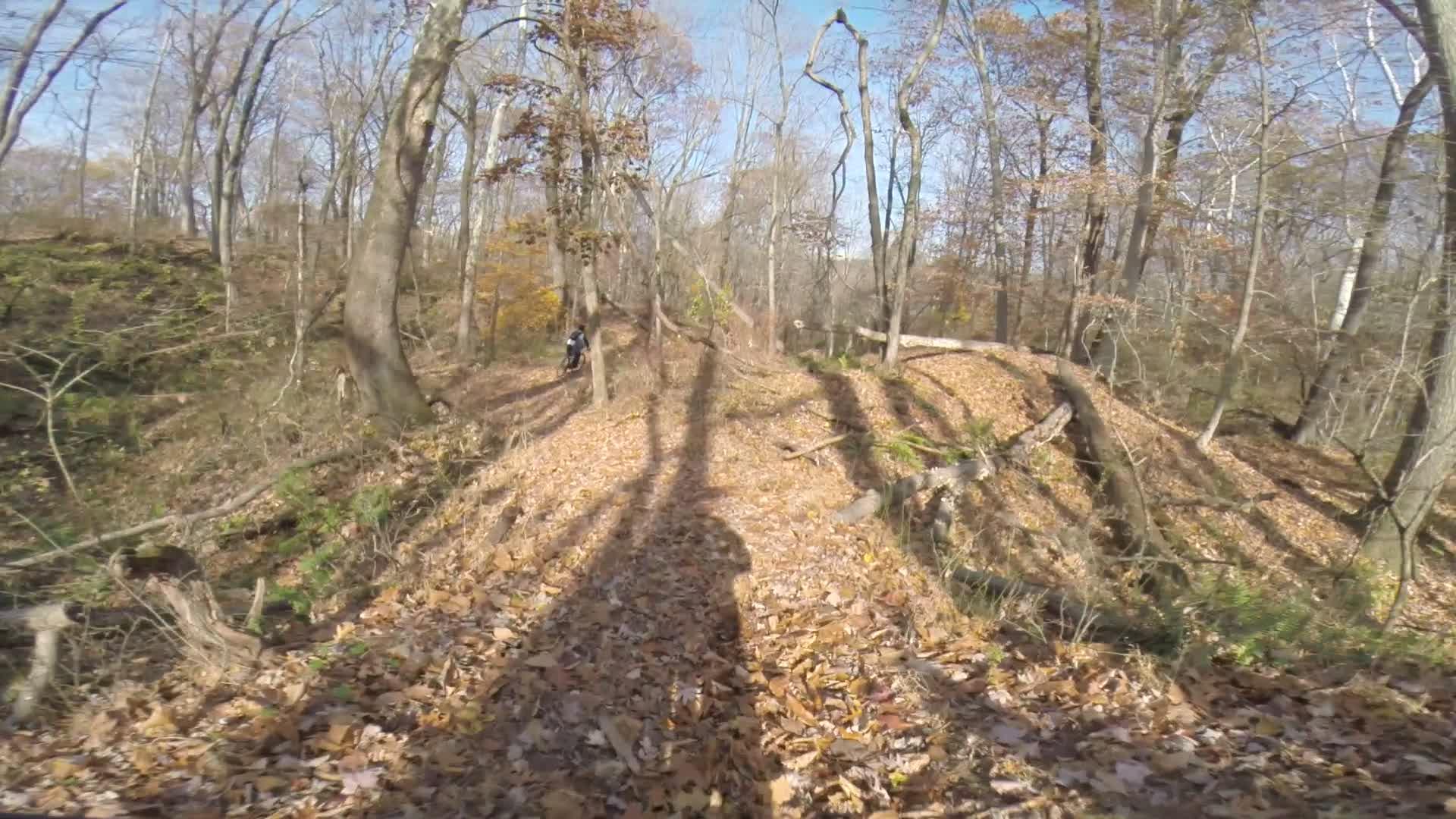A winding path covered in fallen leaves, surrounded by bare trees and a clear blue sky. A person dressed in dark clothing is seen in the background, exploring the wooded area. Sunlight casts long shadows across the ground. Chimney Rock mountain bike trail.