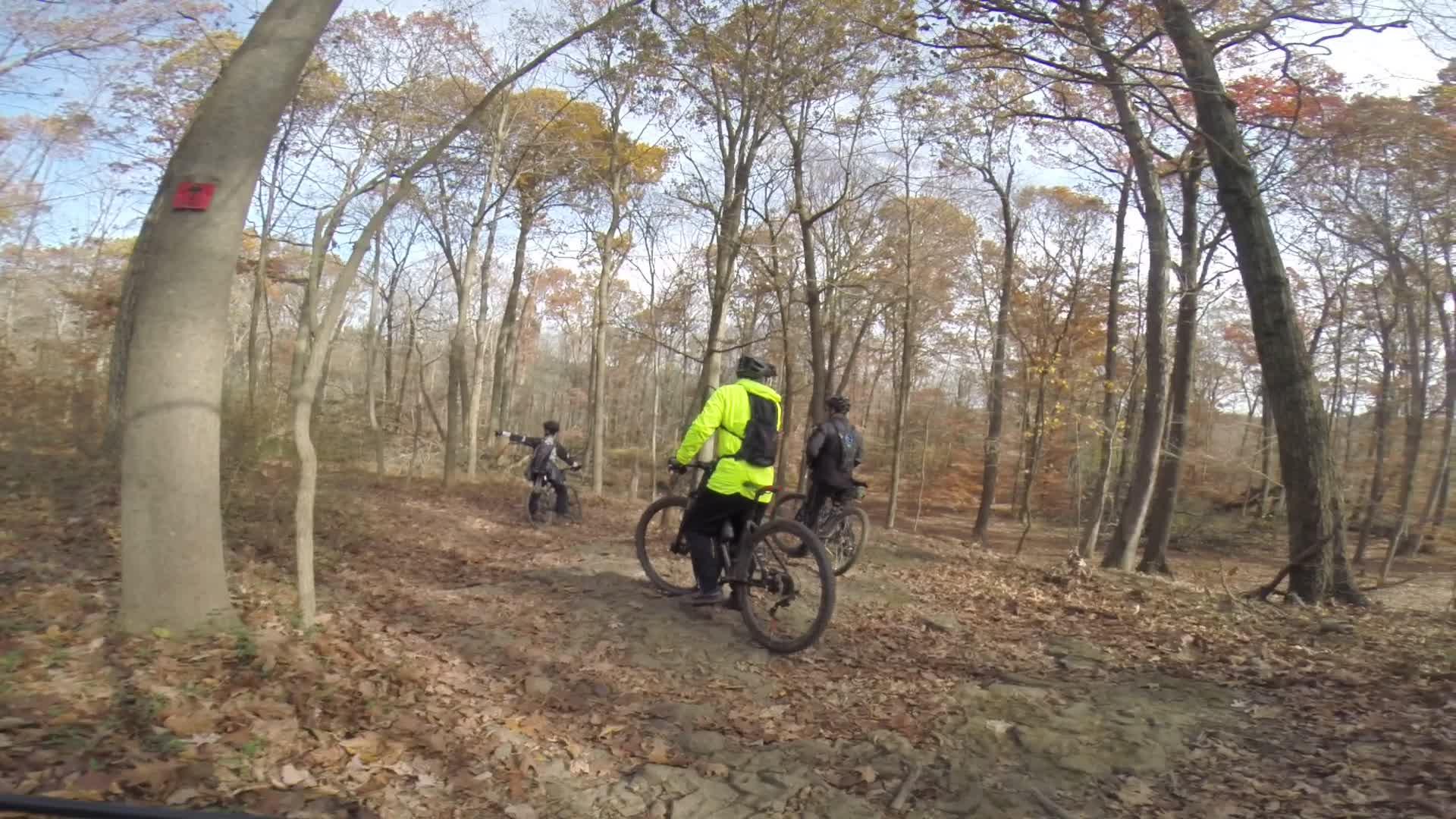 Three mountain bikers navigating a trail in a wooded area during autumn, surrounded by trees with colorful foliage and fallen leaves on the ground. One cyclist is wearing a bright yellow jacket and facing slightly away, while the others are positioned to the right, with one pointing towards the trail. A red marker is visible on a nearby tree. Chimney Rock mountain bike trail.