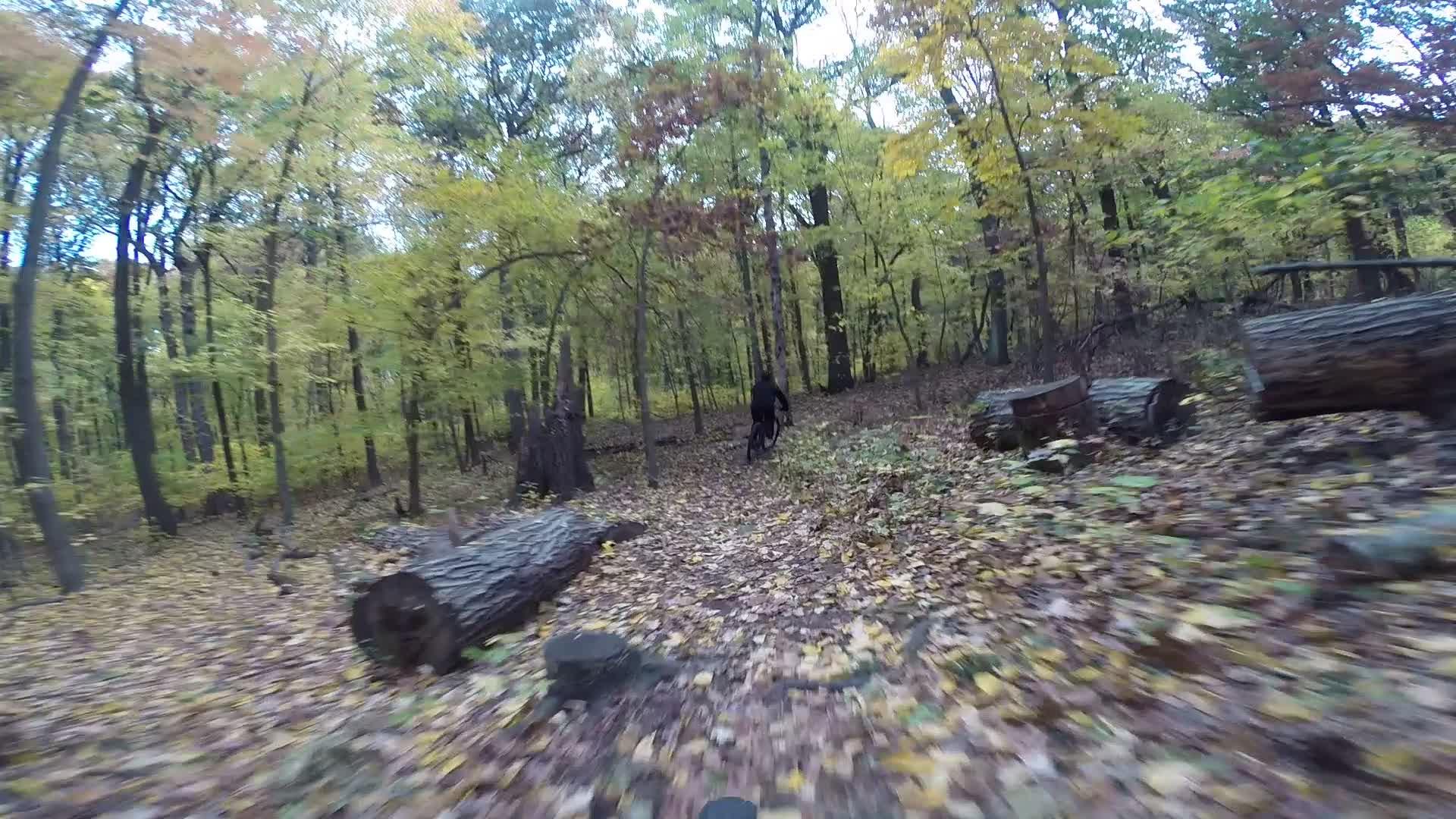 A person riding a mountain bike on a leaf-covered trail through a forest, surrounded by trees displaying autumn colors. Logs are scattered along the path, and fallen leaves cover the ground. Richmond Avenue and Forest Hill road mountain bike trail.