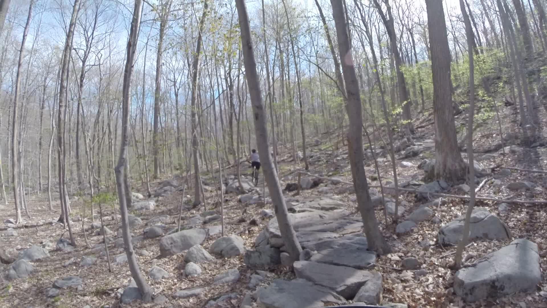 A person biking through a rocky forest trail surrounded by bare trees and scattered boulders, with small green leaves beginning to emerge in the background under a clear sky. Ringwood Skylands Manor mountain bike trail.