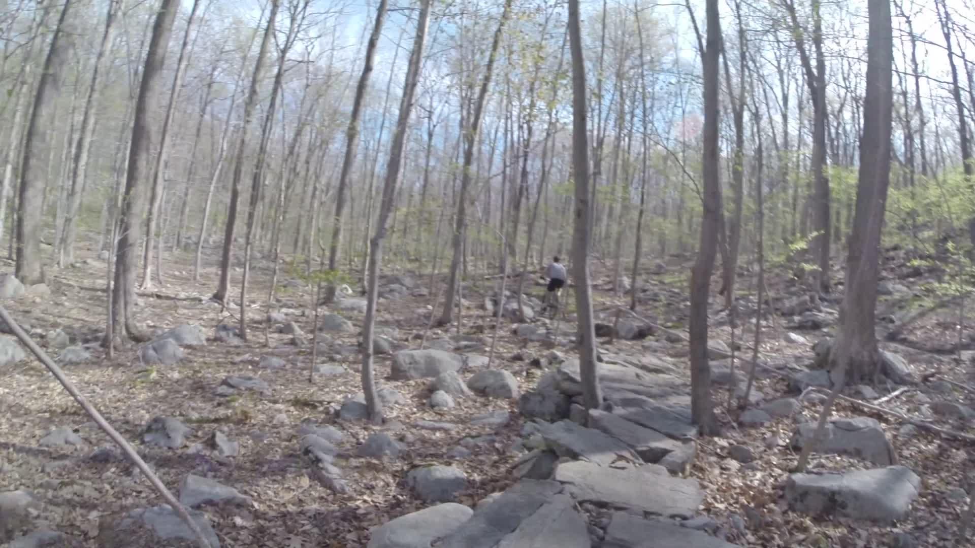 A wooded area with leafless trees and scattered rocks on the ground, along with patches of green foliage. In the background, a person is seen walking along a rocky path. The sky is partly cloudy, typical of a spring day. Ringwood Skylands Manor mountain bike trail.