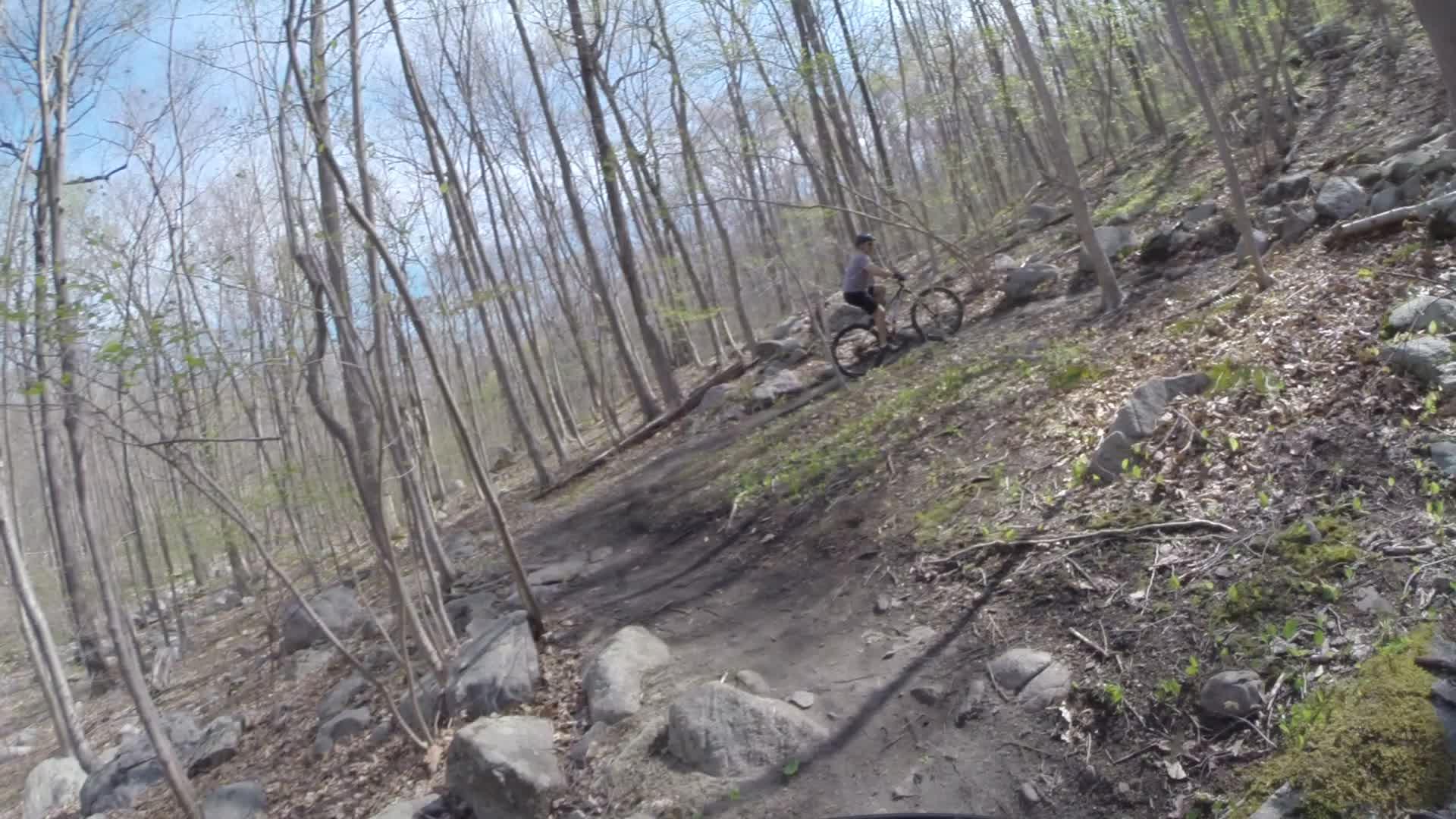 A mountain biker navigating a rocky trail in a wooded area, surrounded by bare trees and patches of green foliage, with a clear blue sky overhead. Ringwood Skylands Manor mountain bike trail.