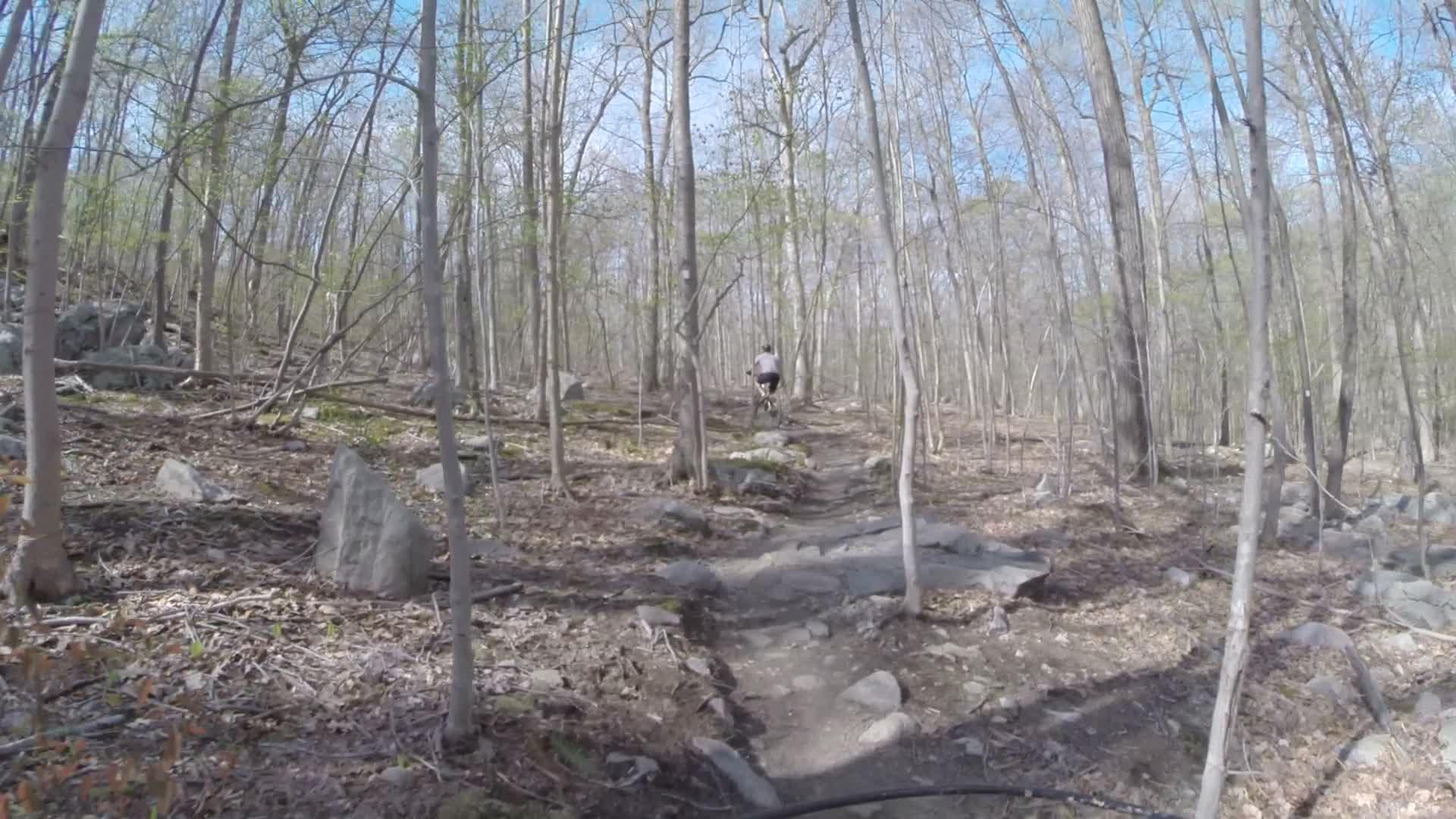 A cyclist riding on a rocky trail through a forest with bare trees and early spring foliage under a clear blue sky. Ringwood Skylands Manor mountain bike trail.