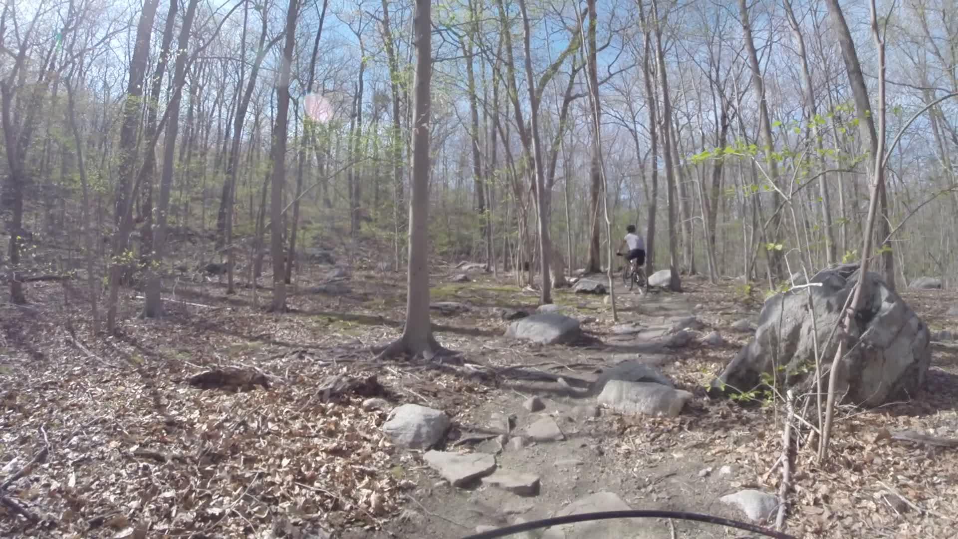 A mountain biker riding on a gravel path through a wooded area, surrounded by trees and rocks, with early spring foliage emerging. Ringwood Skylands Manor mountain bike trail.