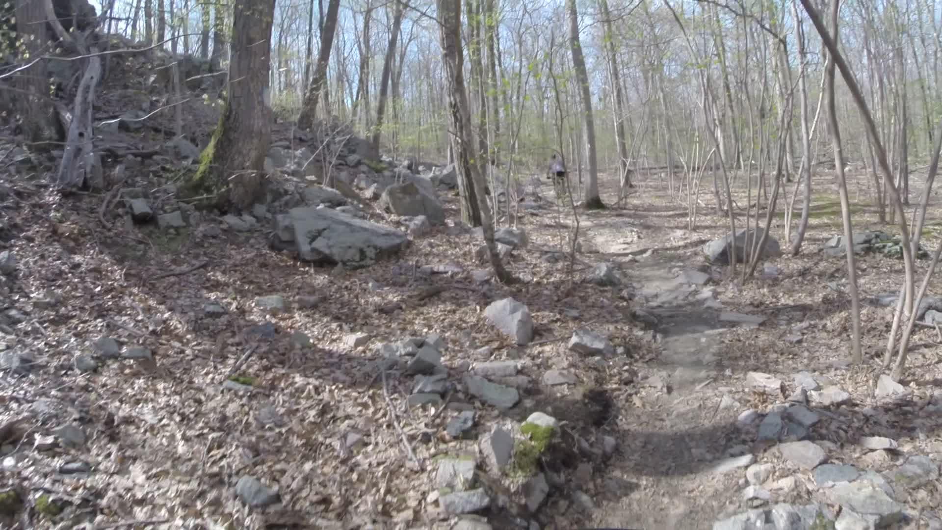 A winding dirt trail through a wooded area, featuring a mix of rocks and leaf-covered ground. Tall trees with sparse leaves are present, indicating early spring. Sunlight filters through the branches, casting dappled shadows along the path. Ringwood Skylands Manor mountain bike trail.