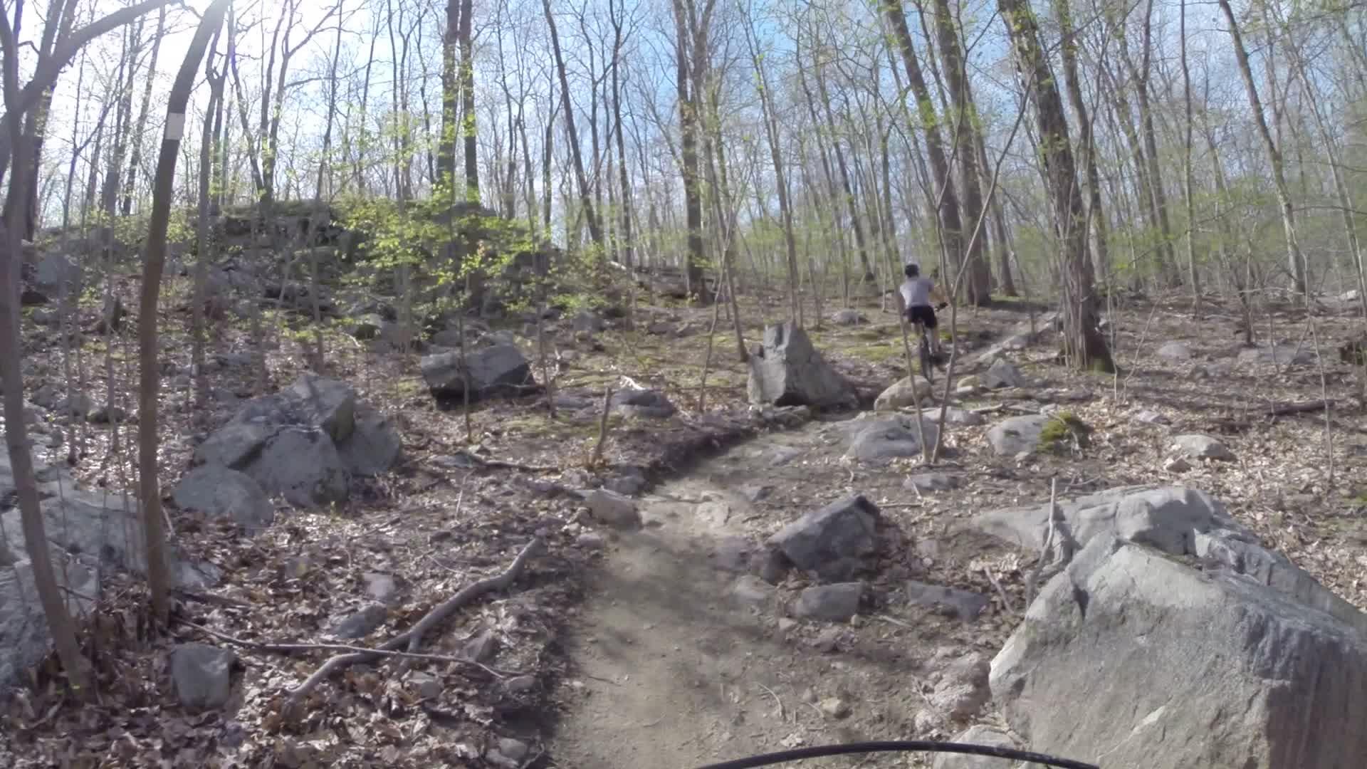 Mountain biker navigating a rocky trail in a wooded area during a sunny day. The path is surrounded by trees and scattered stones, with budding leaves visible on the branches above. Ringwood Skylands Manor mountain bike trail.