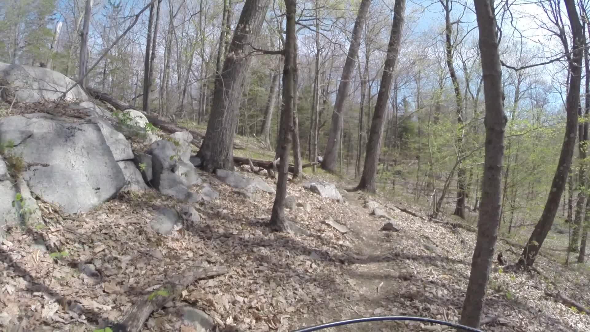 A dirt path winding through a wooded area, surrounded by trees and rocks, with scattered leaves on the ground. The sky is partly cloudy, suggesting a pleasant outdoor setting for biking or hiking activities. Ringwood Skylands Manor mountain bike trail.