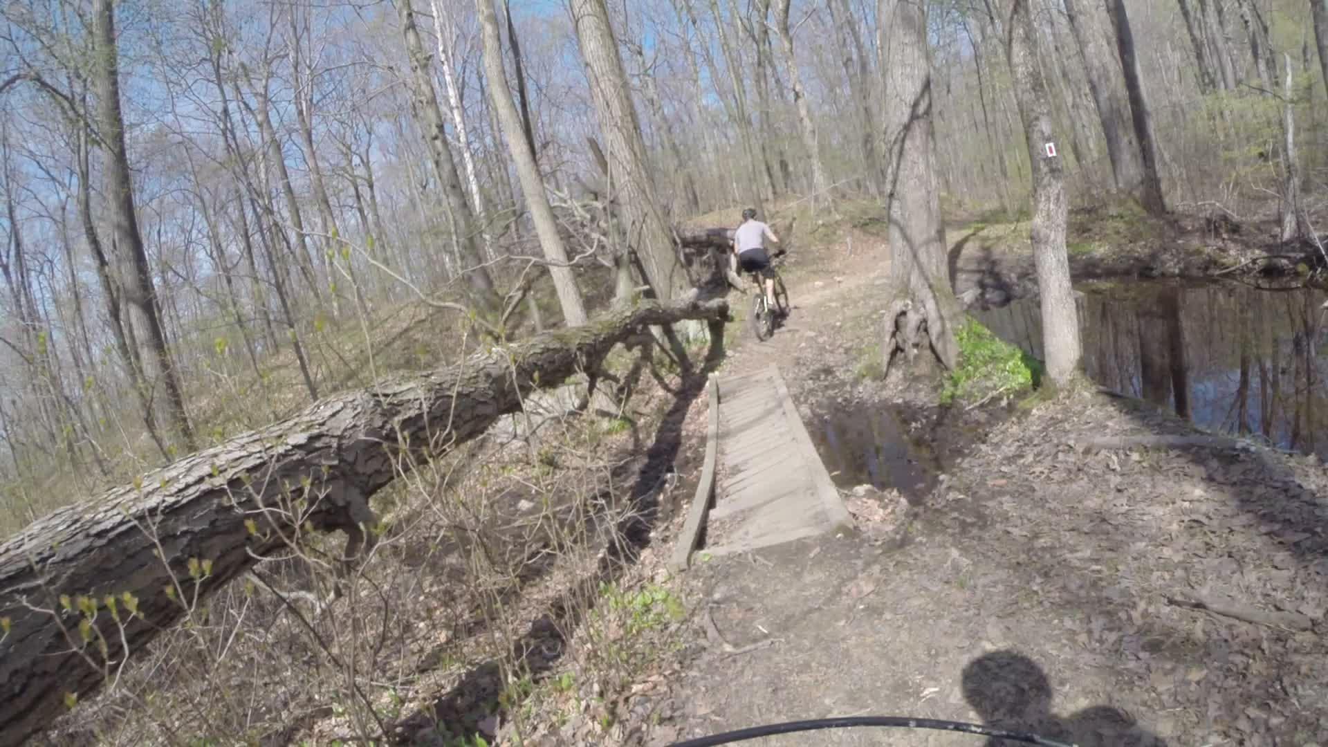 A mountain biker navigating a narrow trail in a wooded area, crossing a wooden bridge over a small stream. Sunlight filters through the trees, highlighting the greenery along the path. Ringwood Skylands Manor mountain bike trail.