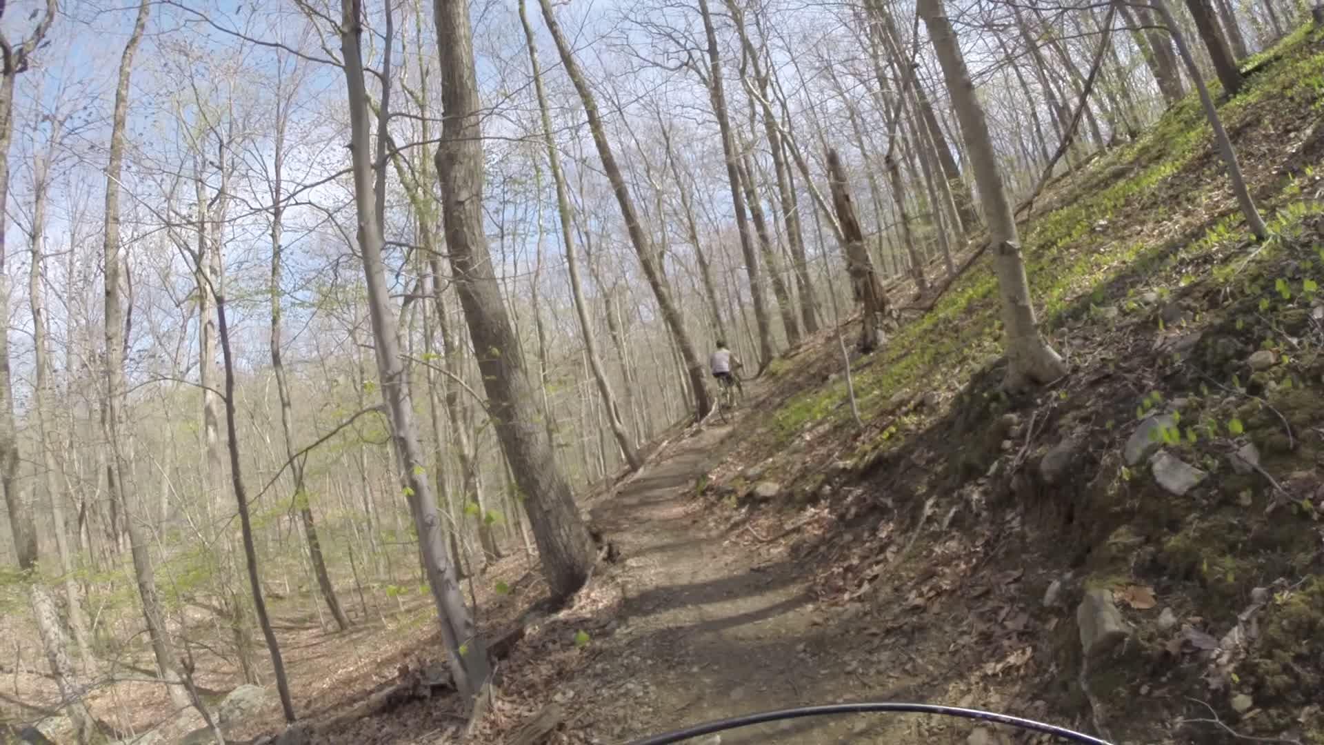 A winding dirt trail through a wooded area with trees in early spring. A person on a bicycle can be seen riding along the trail, surrounded by greenery and sunlight filtering through the branches. Ringwood Skylands Manor mountain bike trail.