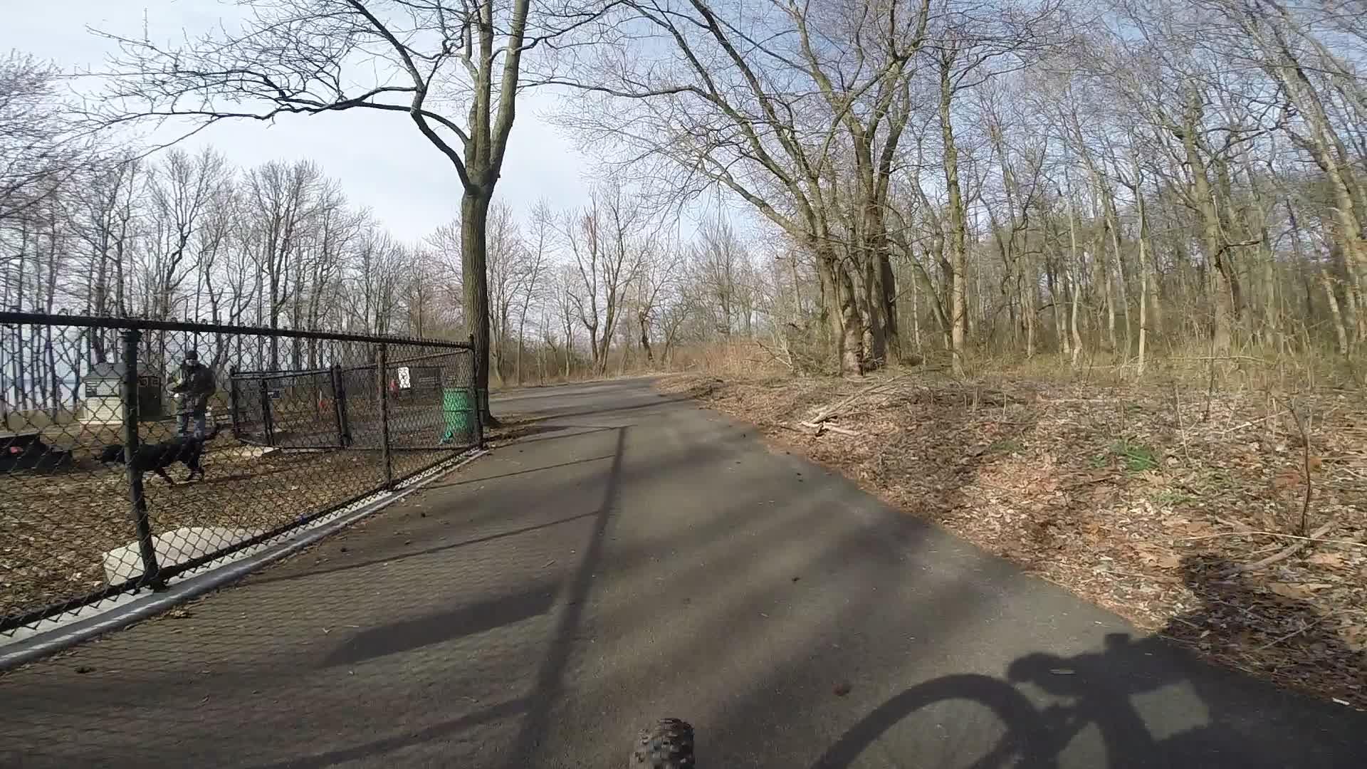 A winding paved path through a wooded area, with leafless trees lining the sides. Along the path, a fenced area contains dogs playing while a person interacts with them. Sunlight filters through the branches, casting shadows on the ground. Wolfes Pond park mountain bike trail.