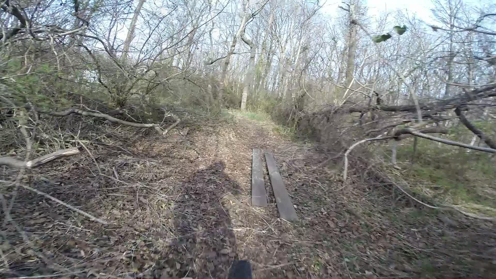 Alt text: A narrow, uneven trail in a forest, covered with fallen leaves and flanked by trees and underbrush. Two wooden planks are laid across the path. The image features a shadow of a person, suggesting presence in the scene. Wolfes Pond park mountain bike trail.