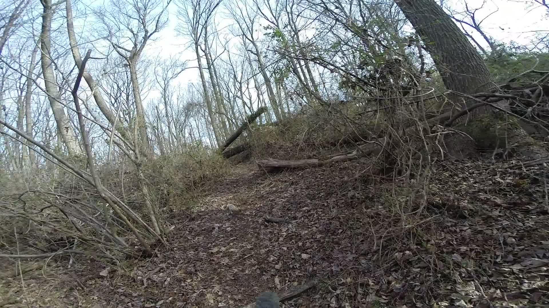 A wooded trail in early spring, featuring bare trees and a carpet of fallen leaves. The path is overgrown with twigs and small bushes, leading upwards towards a rocky incline with fallen logs partially obscuring the way. The sky is partly cloudy. Wolfes Pond park mountain bike trail.