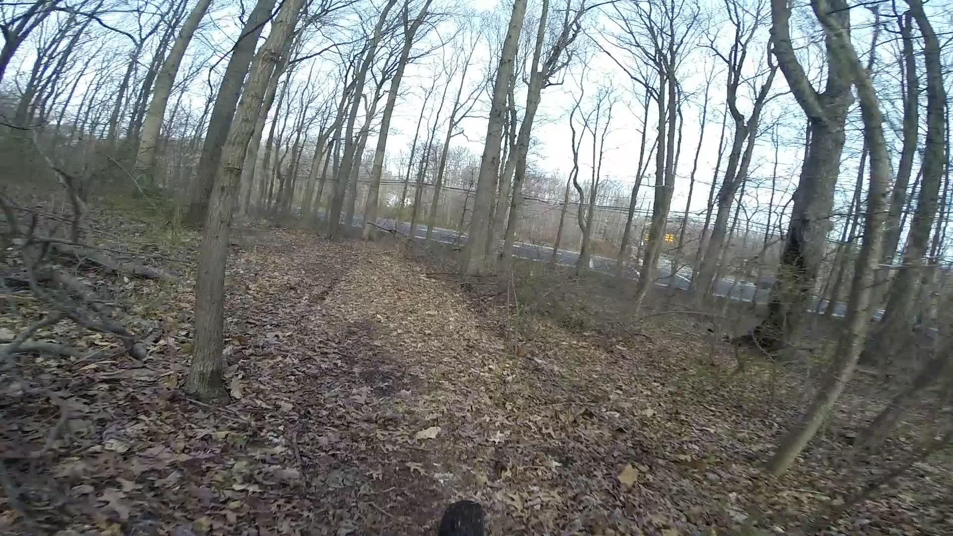 A narrow, leaf-covered path winding through a wooded area with bare trees, alongside a glimpse of a road visible in the background. Wolfes Pond park mountain bike trail.