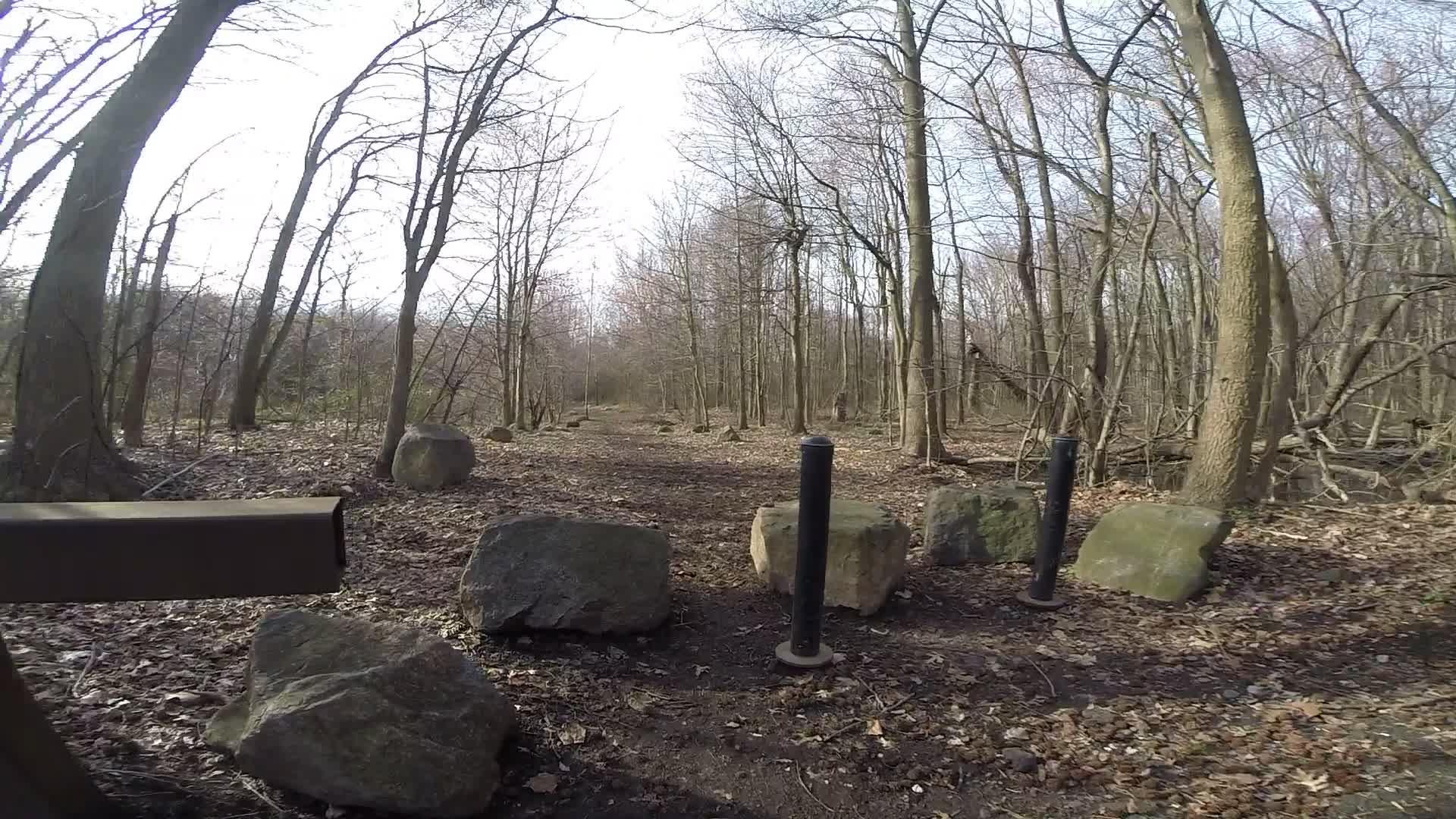 A sandy trail in a serene forest, lined with bare trees and scattered rocks, under a clear sky. Two black posts are visible alongside the path, with fallen leaves on the ground, indicating a peaceful outdoor setting. Trails seperated by streets mountain bike trail.