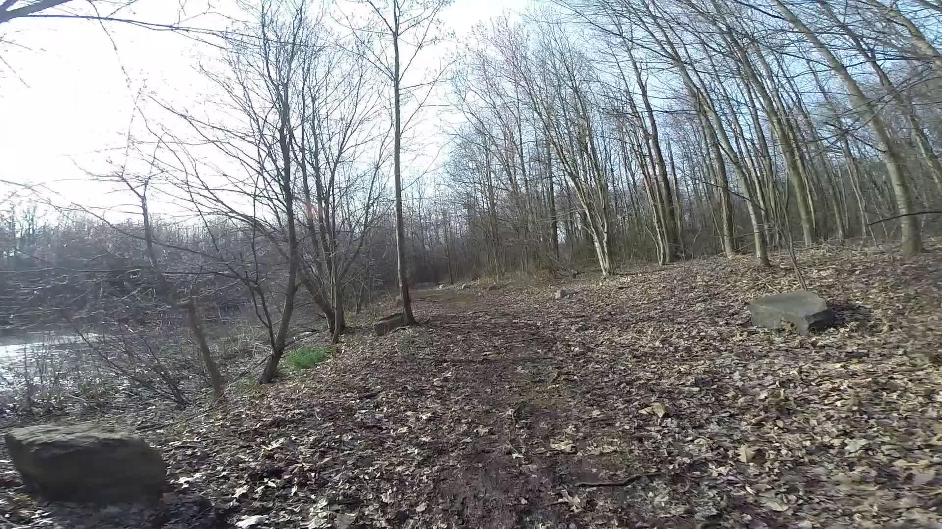 A dirt path winding through a wooded area, lined with bare trees and scattered fallen leaves. A small stream can be seen to the left of the path, with some green grass peeking through the foliage. The sky is partially cloudy, suggesting a cool day in early spring or late autumn. Trails seperated by streets mountain bike trail.