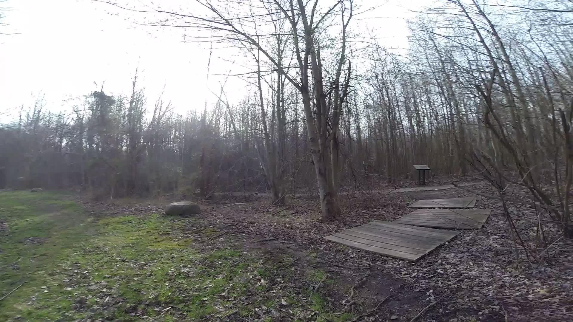 A wooded area featuring bare trees and a grassy path with wooden boardwalk sections. A large boulder is visible on the left, and a signpost is seen in the background. The scene is set under a cloudy sky, indicating a cool, overcast day. Trails seperated by streets mountain bike trail.