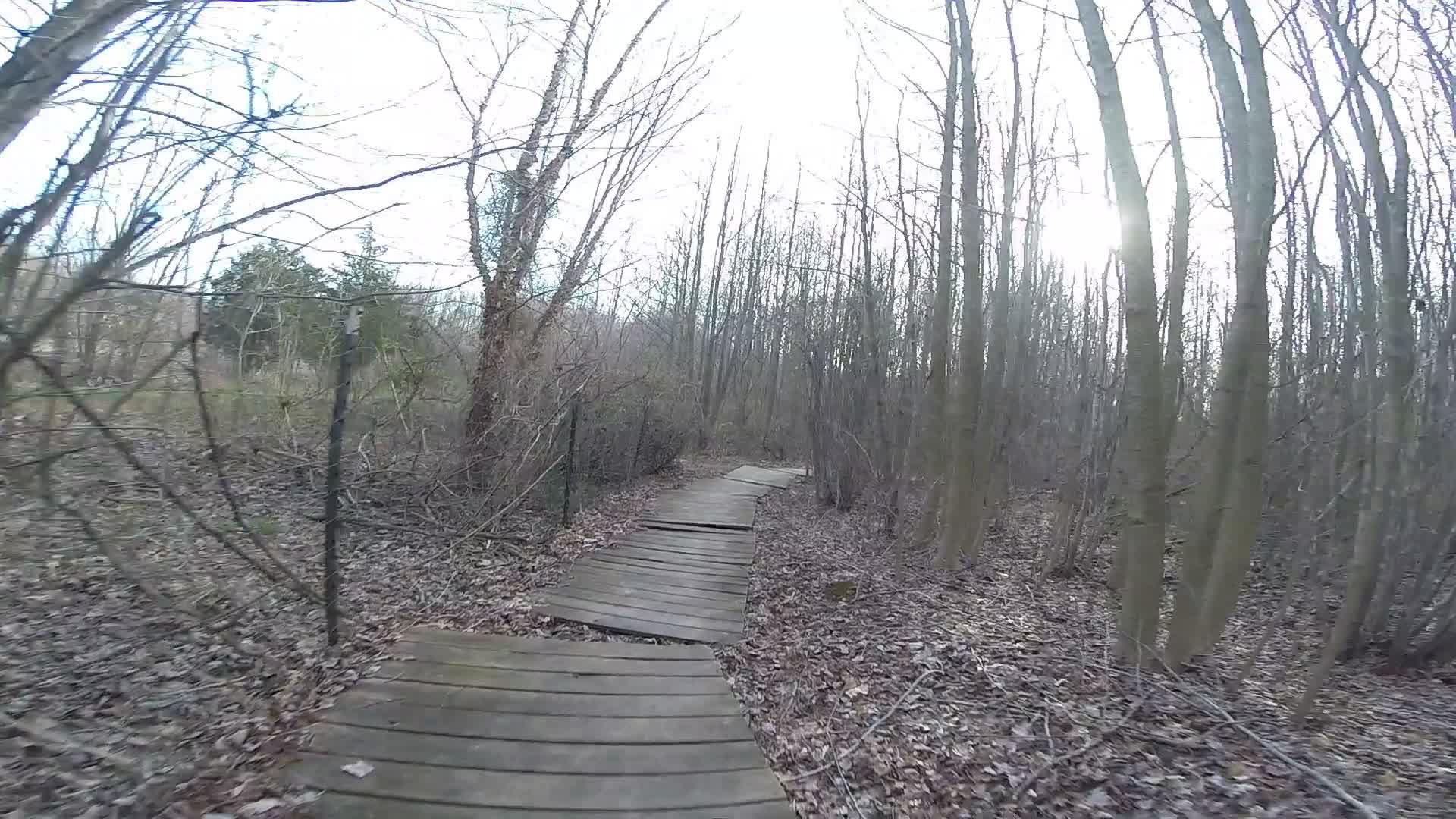 A winding wooden boardwalk path surrounded by bare trees and scattered leaves, leading into a peaceful, natural forest setting under a cloudy sky. Trails seperated by streets mountain bike trail.